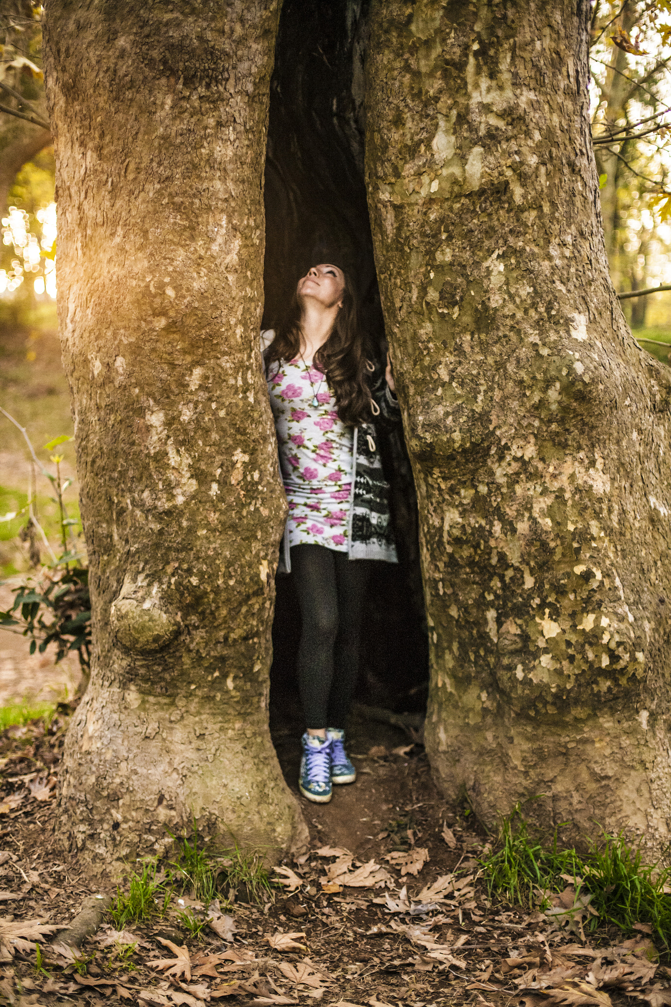 Canon EF 50mm F1.4 USM sample photo. Tree of life photography