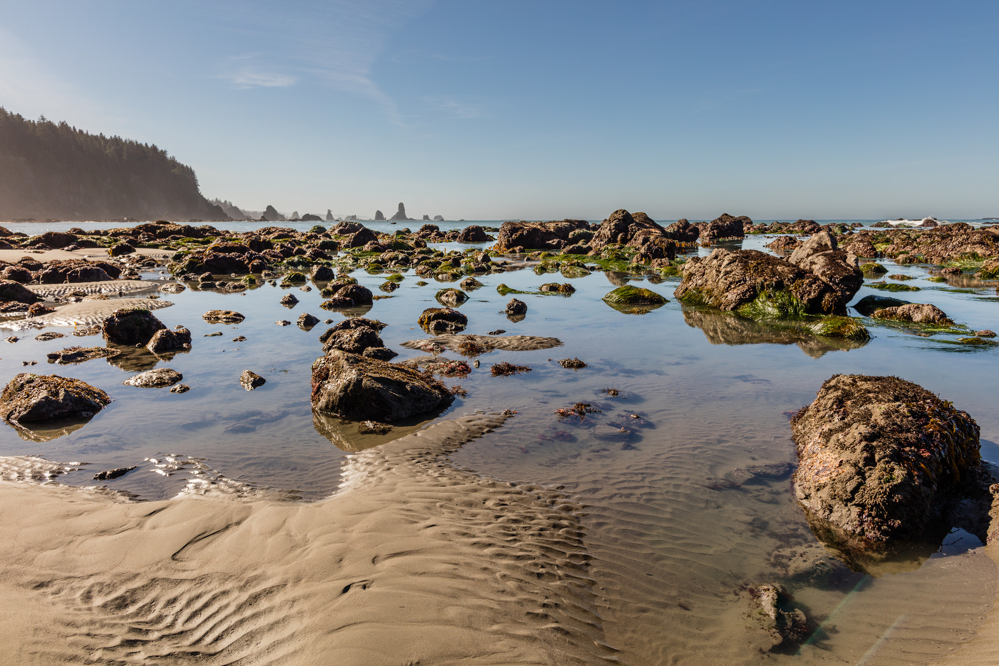 Canon EF 24mm F1.4L II USM sample photo. Low tide photography