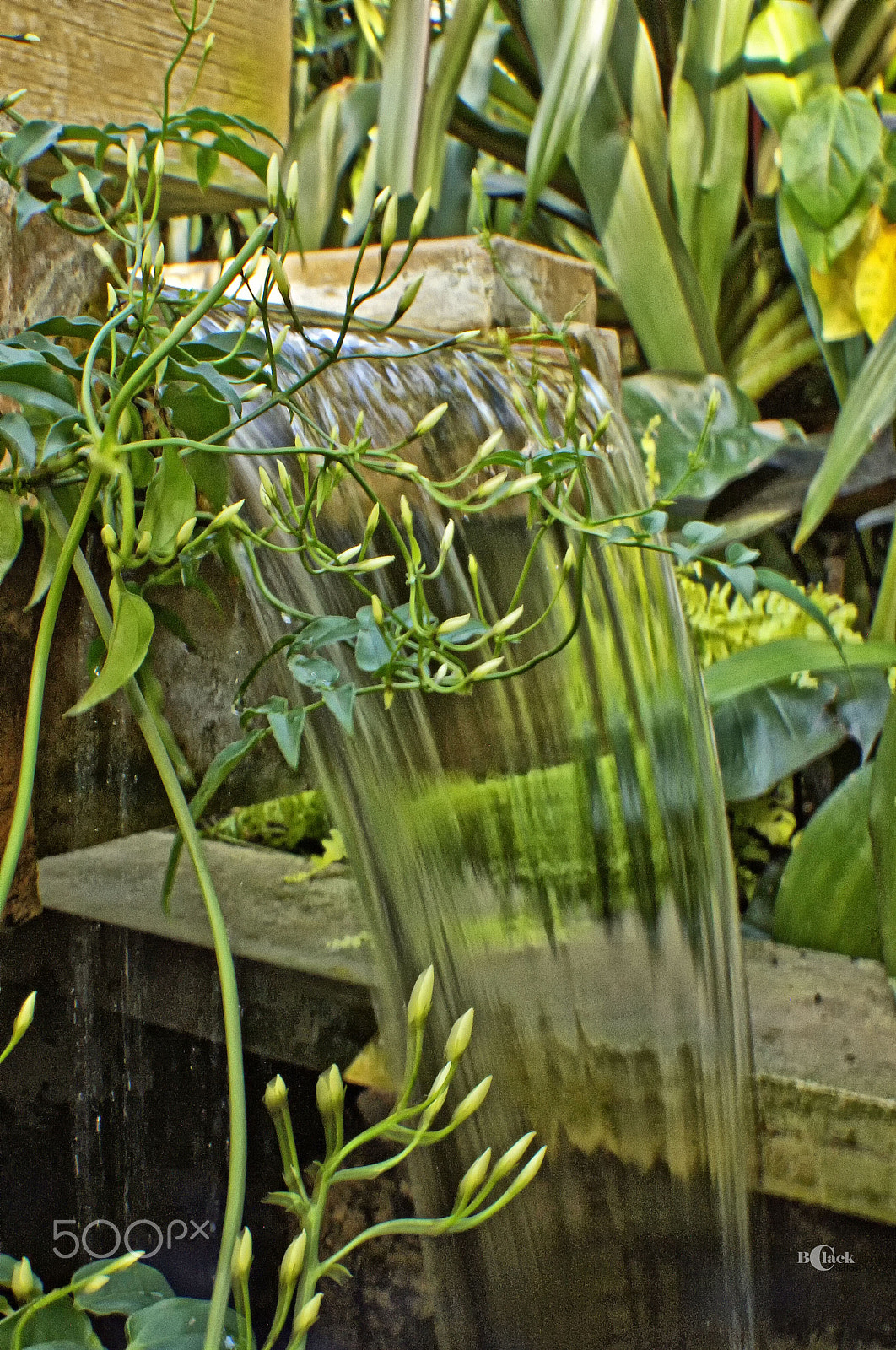 Sony SLT-A55 (SLT-A55V) sample photo. Gardens photography
