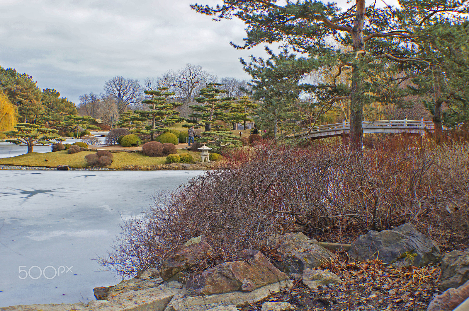 Sony SLT-A55 (SLT-A55V) sample photo. Gardens photography