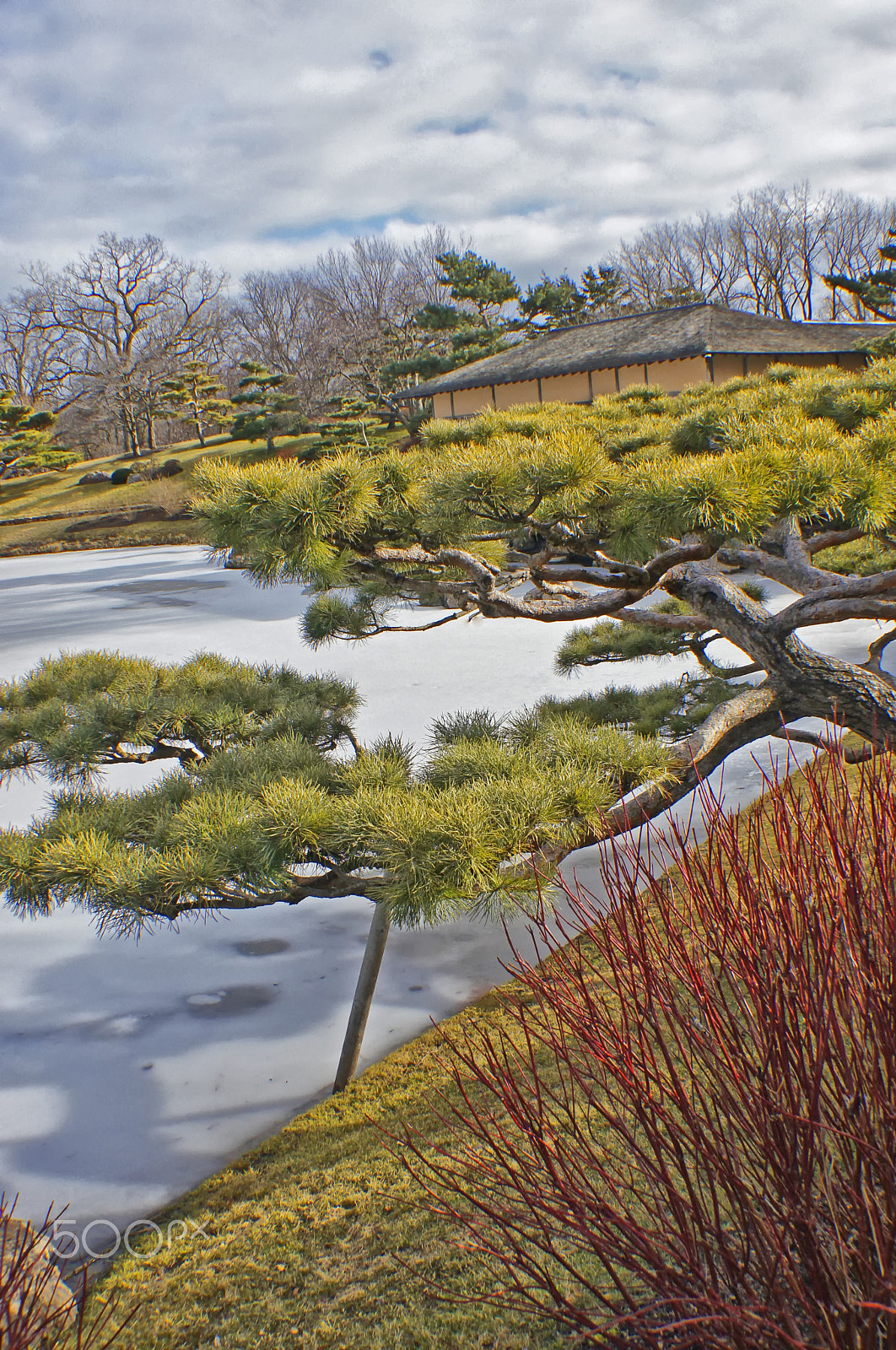 Sony SLT-A55 (SLT-A55V) sample photo. Gardens photography