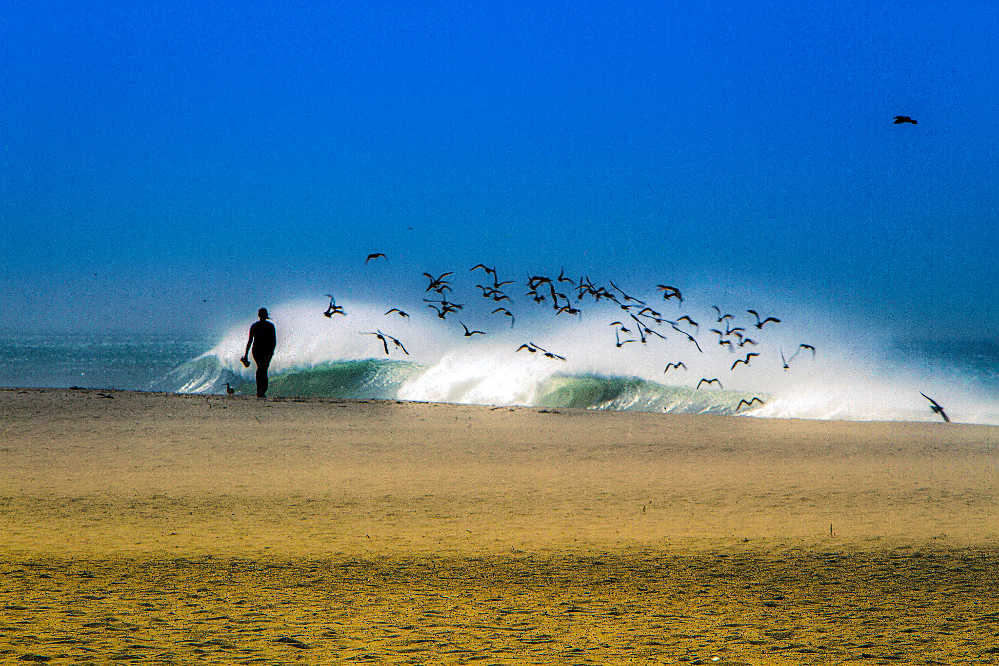 Canon EOS 7D + Canon EF 70-200mm F2.8L IS USM sample photo. Girl vs. birds photography