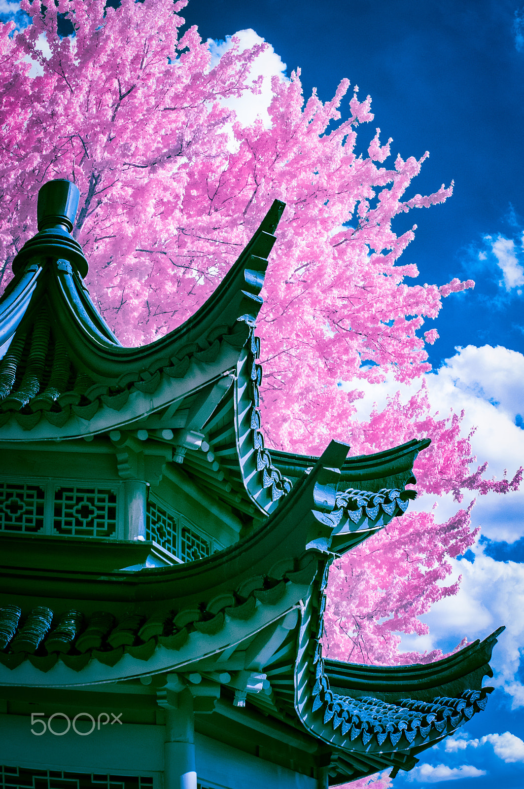 Nikon D300S sample photo. Pagoda in springtime photography