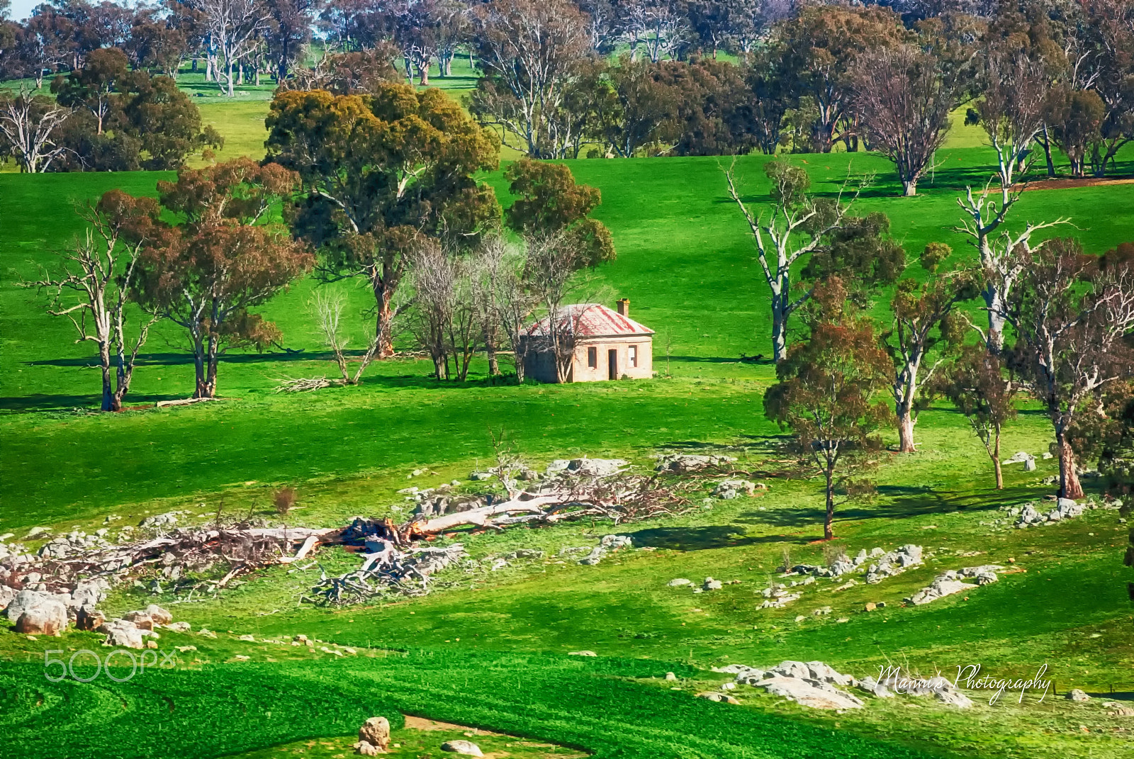 Nikon D80 sample photo. Cottage in rural setting photography