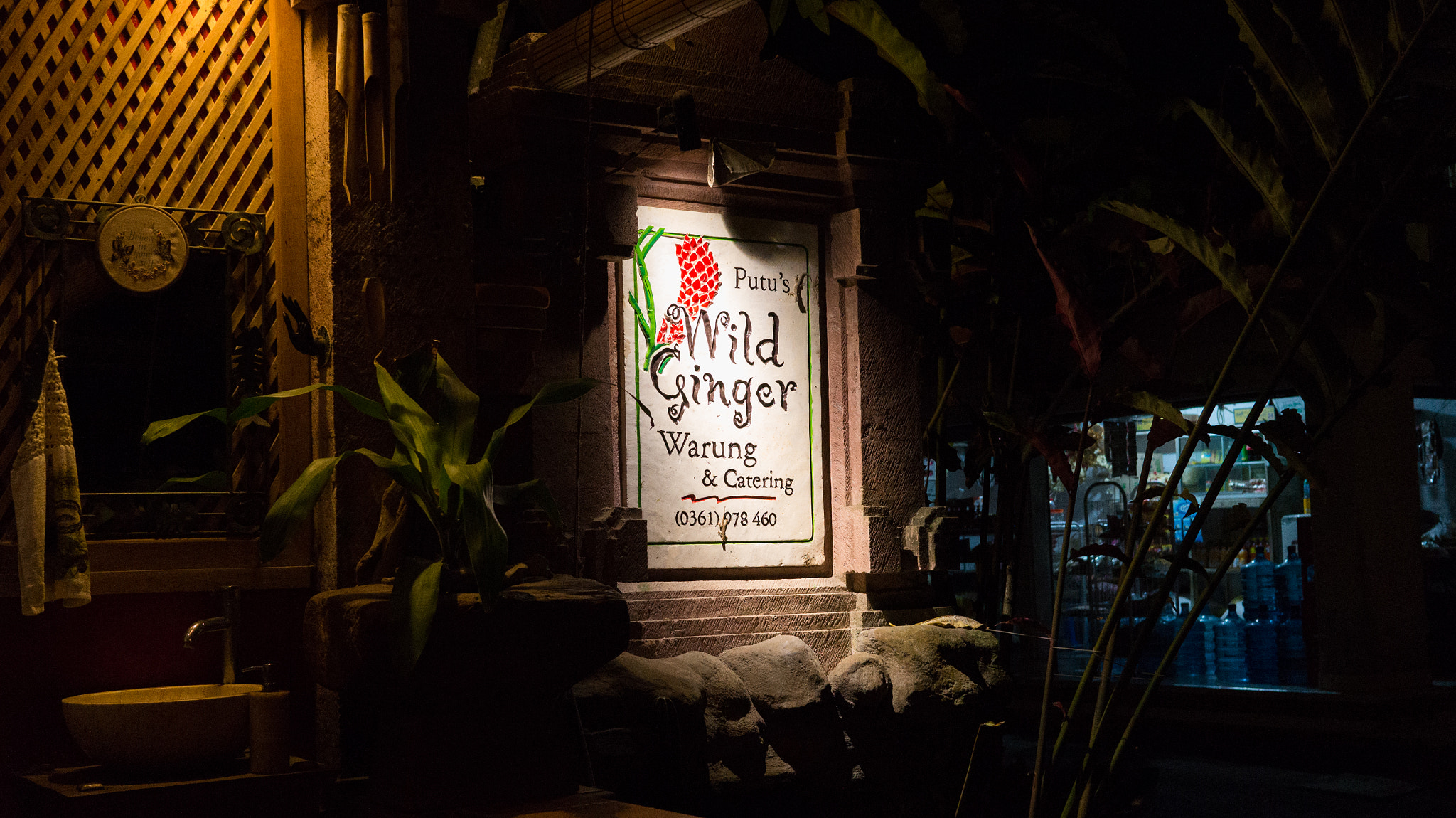 Sony Alpha NEX-3N + Sigma 30mm F2.8 EX DN sample photo. Wild ginger warung, bali, indonesia photography