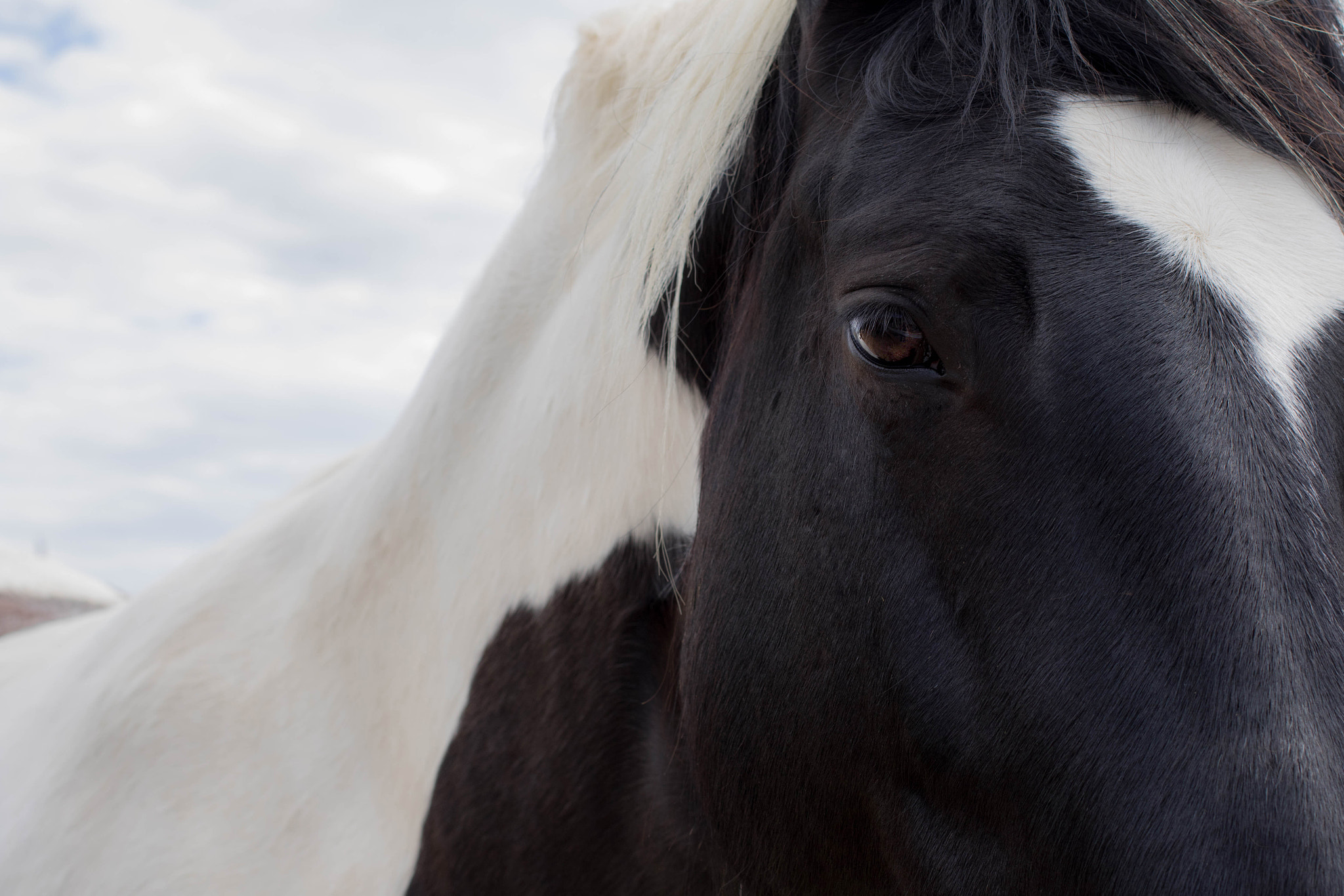 Canon EF 40mm F2.8 STM sample photo. Force tranquille photography