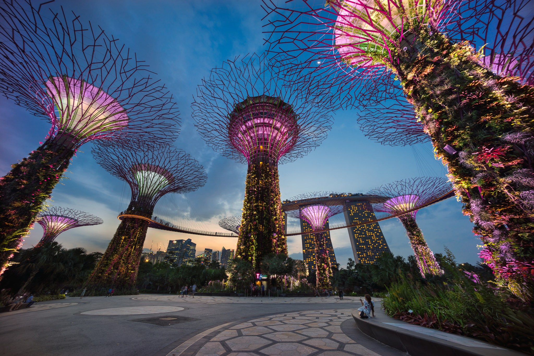 Sony a7R + Sony E 10-18mm F4 OSS sample photo. Super trees at garden by the bay photography