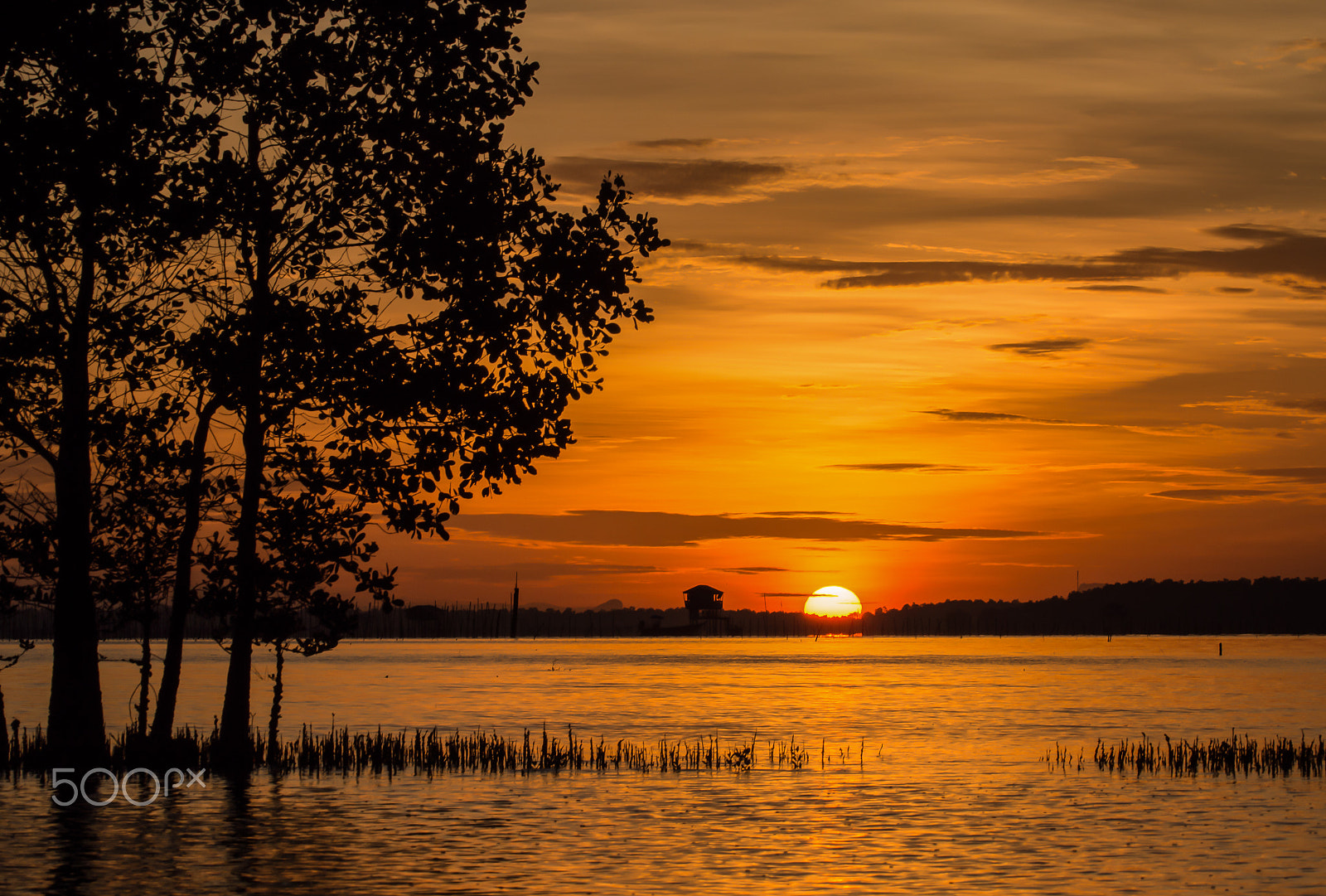 OLYMPUS M.75-300mm F4.8-6.7 sample photo. Sunrise at the seaside photography