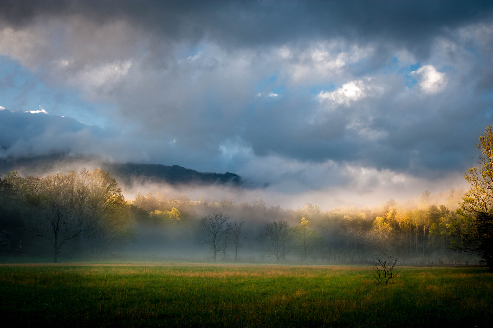 Canon EF 28-80mm f/2.8-4L sample photo. Lights and shadows photography