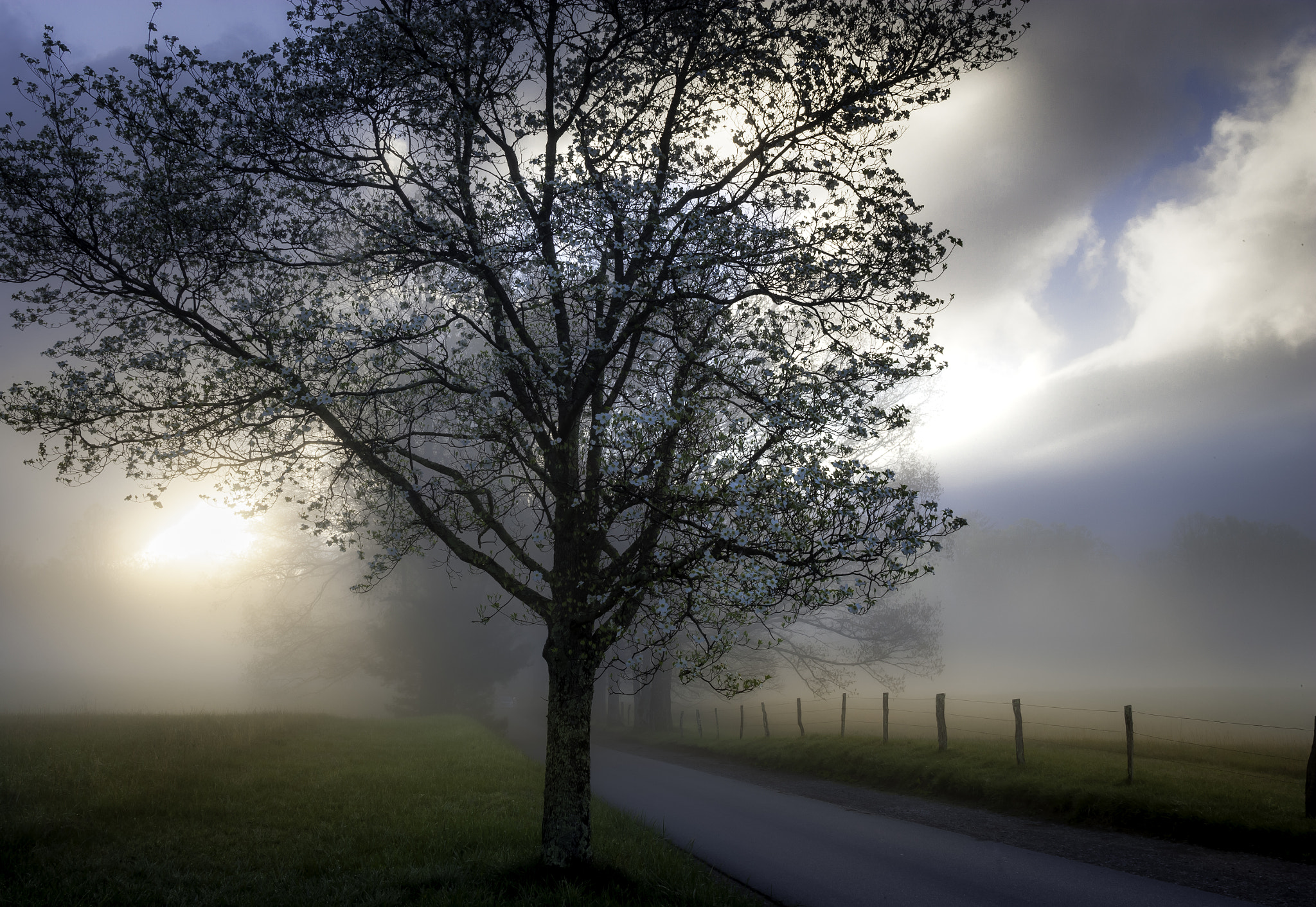 Canon EF 28-80mm f/2.8-4L sample photo. Sunrise service photography