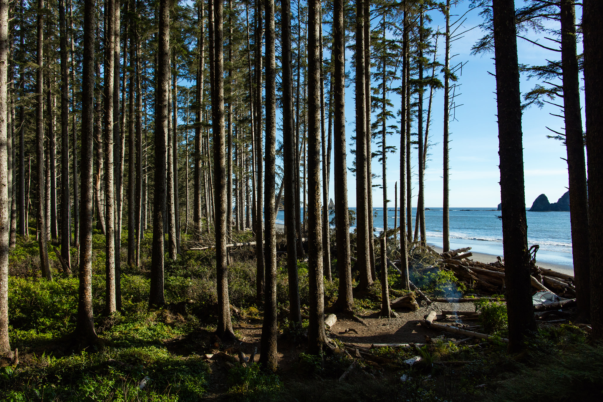 Canon EF 24mm F1.4L II USM sample photo. Taylor point camp 2 photography