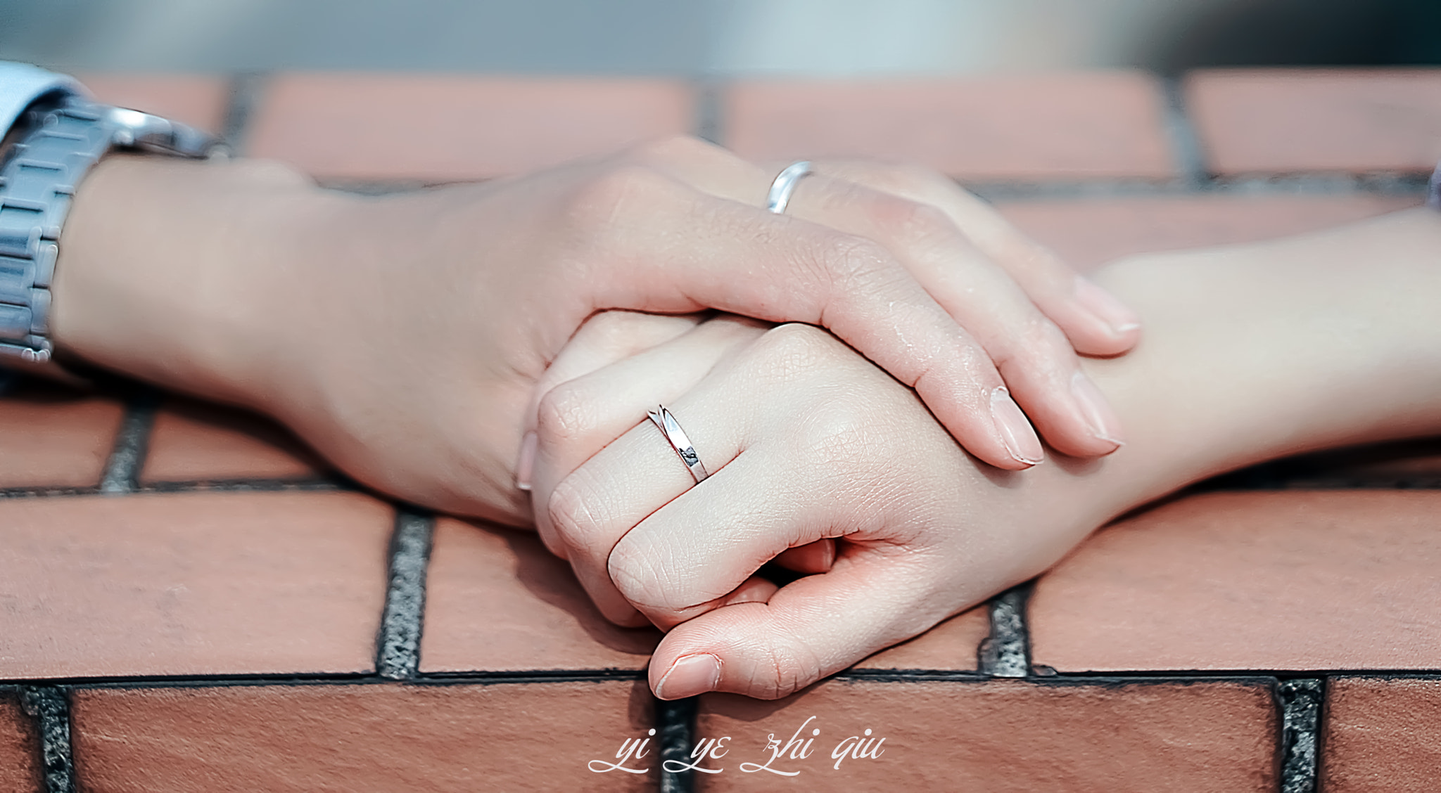 Sony a5100 + E 50mm F1.8 OSS sample photo