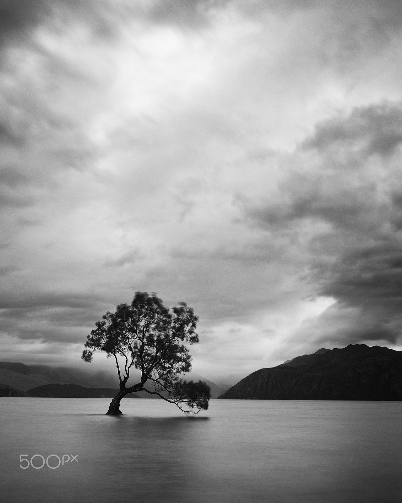 Fujifilm XC 16-50mm F3.5-5.6 OIS II sample photo. Tree lake wanaka photography