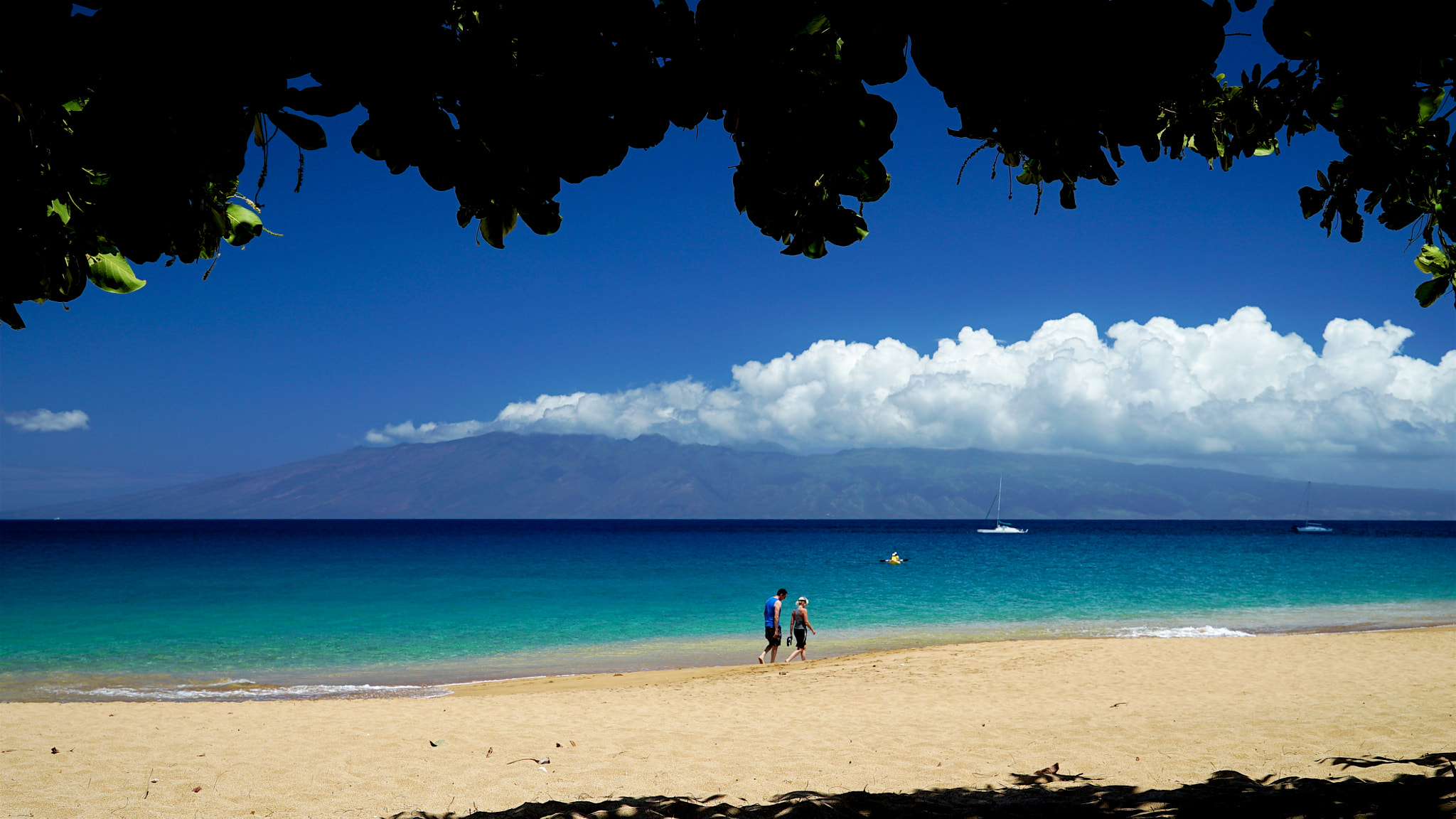 Sony Vario Tessar T* FE 24-70mm F4 ZA OSS sample photo. A beach of maui photography