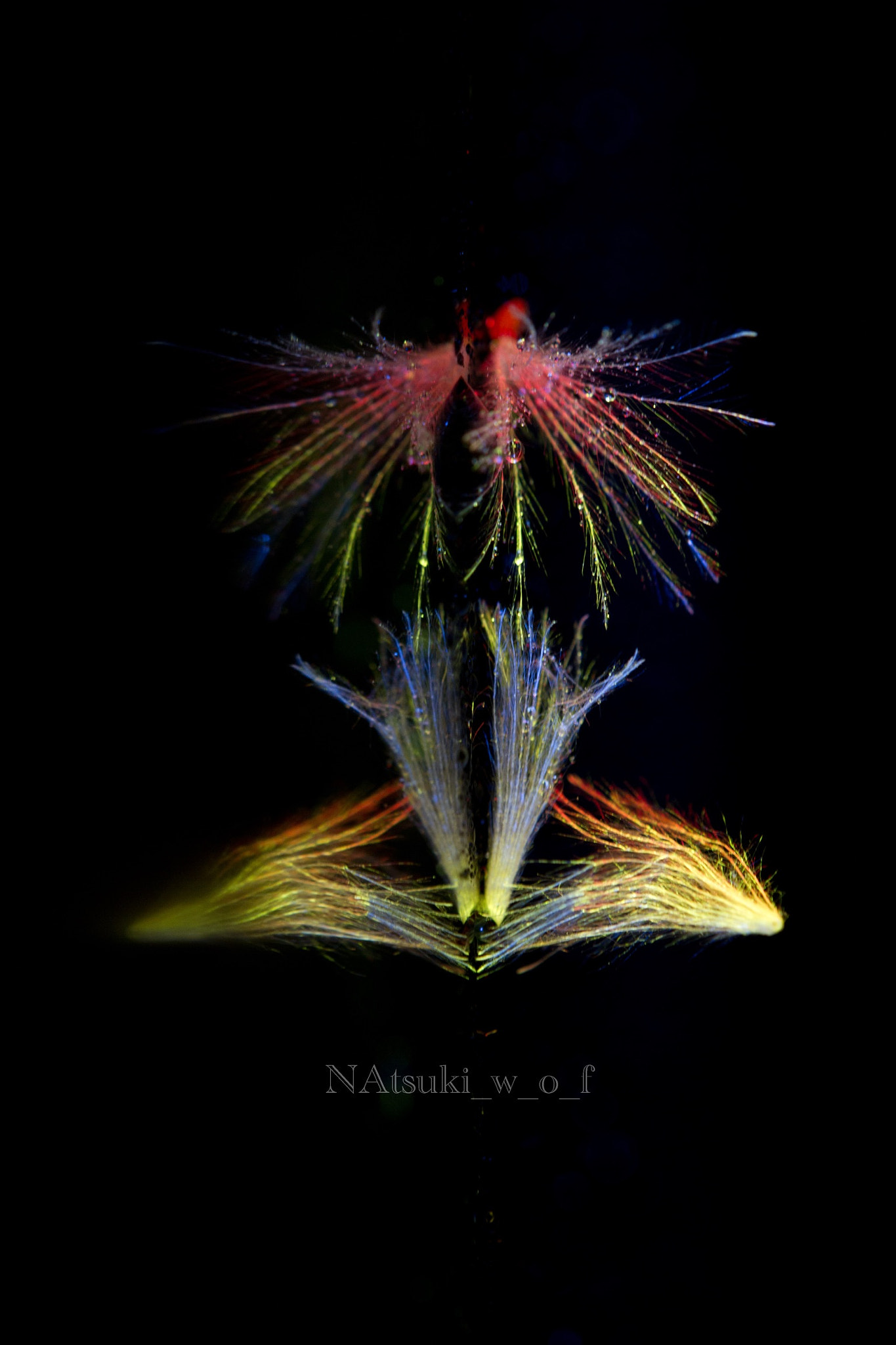 Tamron SP AF 180mm F3.5 Di LD (IF) Macro sample photo. Fairy photography