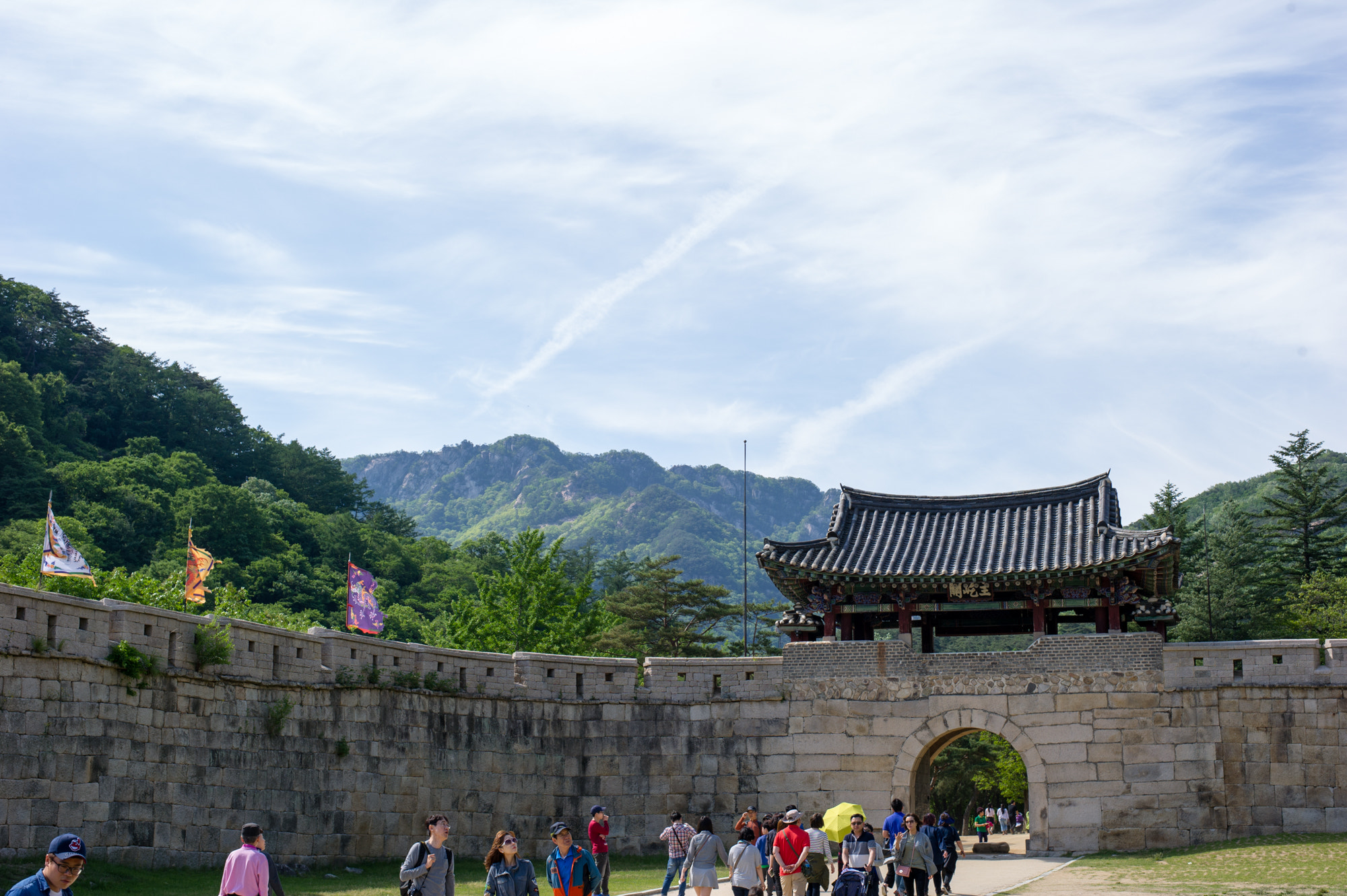 Nikon D3S + Nikon AF-S Nikkor 50mm F1.8G sample photo. Beauty of korea photography