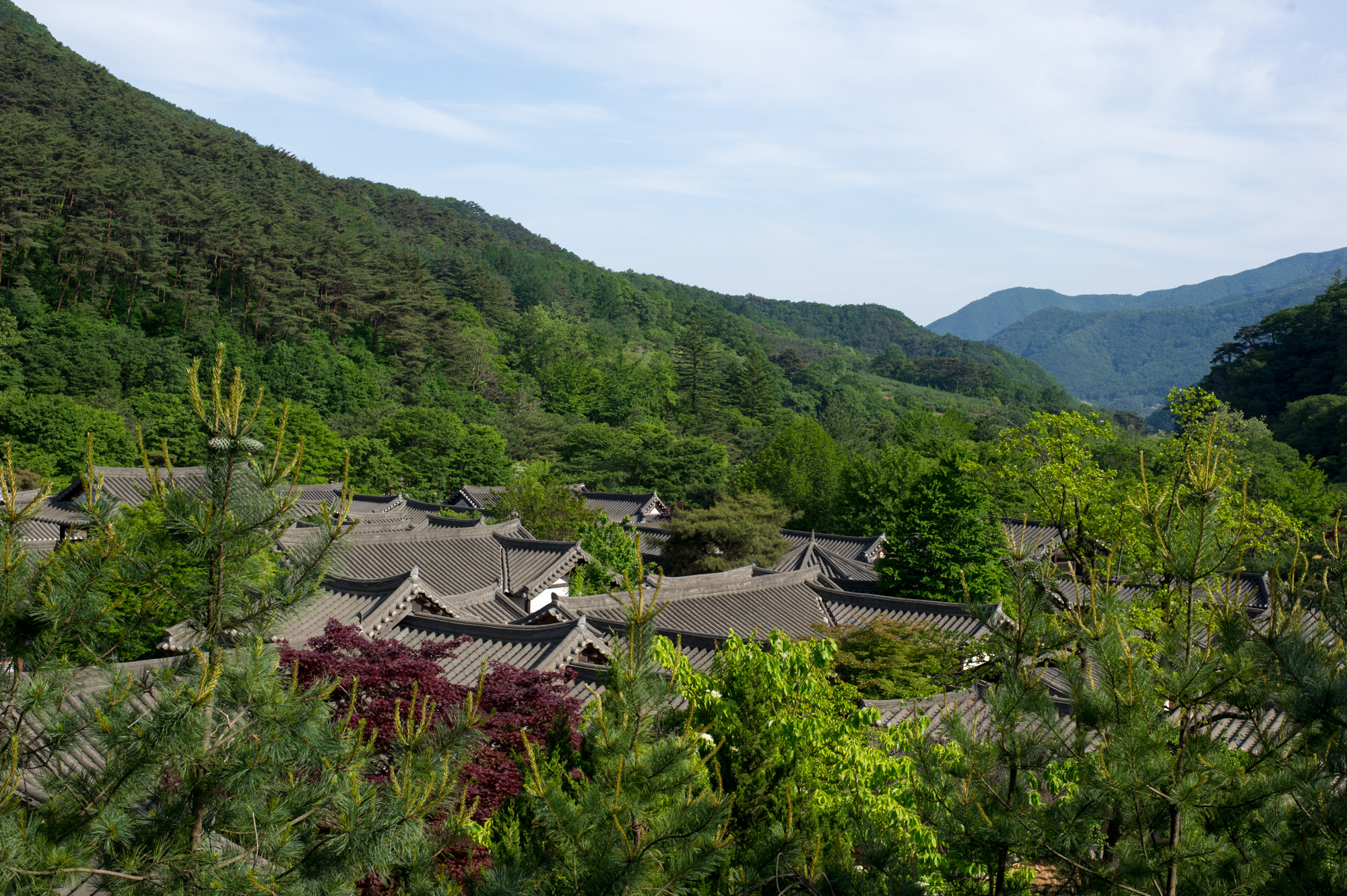 Nikon D3S + Nikon AF-S Nikkor 50mm F1.8G sample photo. Beauty of korea photography