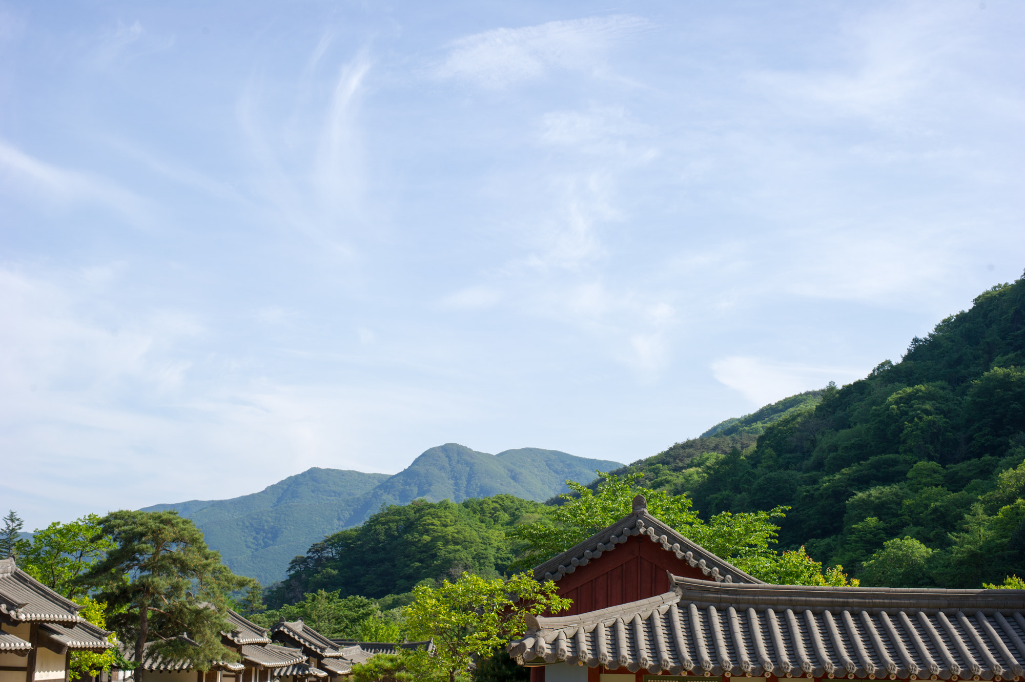 Nikon D3S + Nikon AF-S Nikkor 50mm F1.8G sample photo. Beauty of korea photography