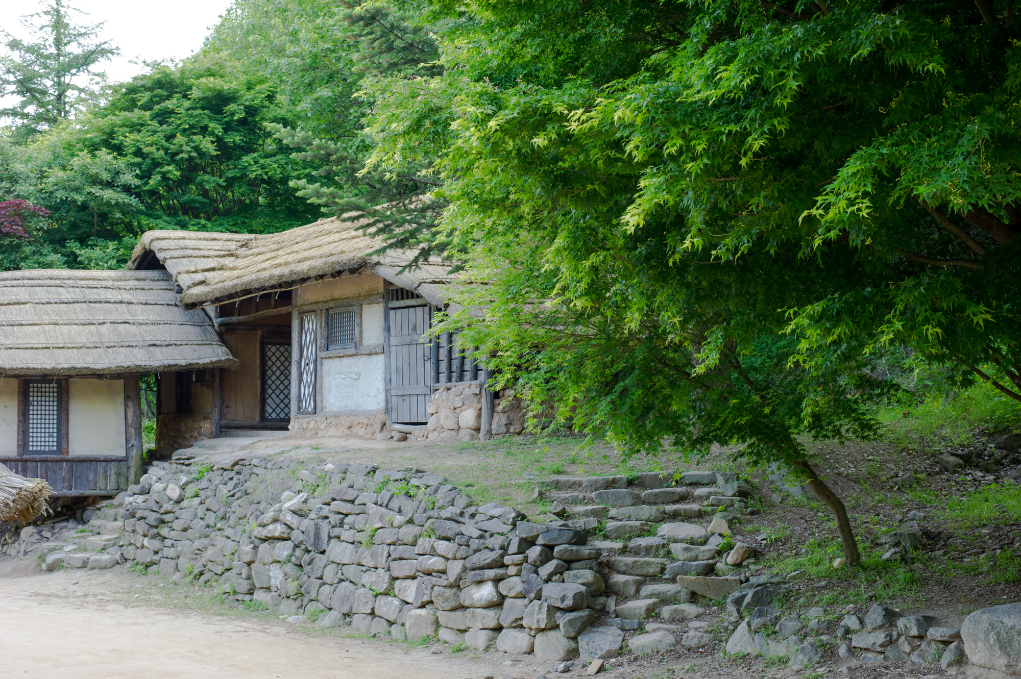 Nikon D3S + Nikon AF-S Nikkor 50mm F1.8G sample photo. Beauty of korea photography