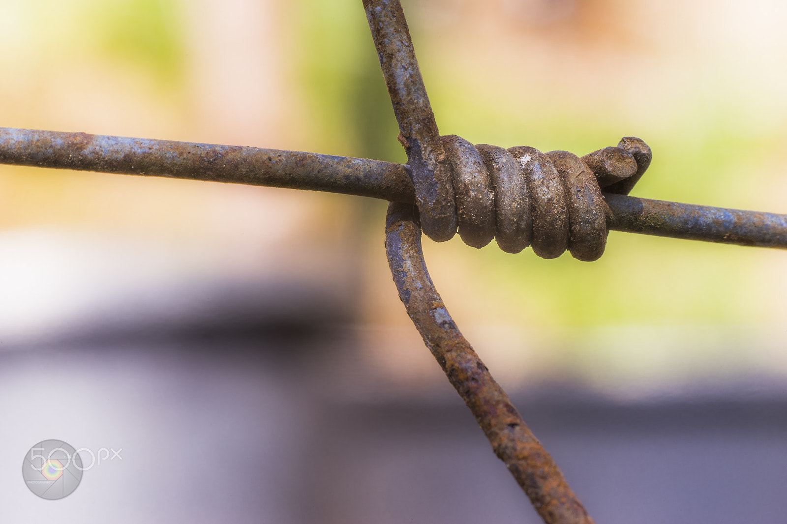 Sony a99 II + Sony 85mm F2.8 SAM sample photo. Twisted junction photography