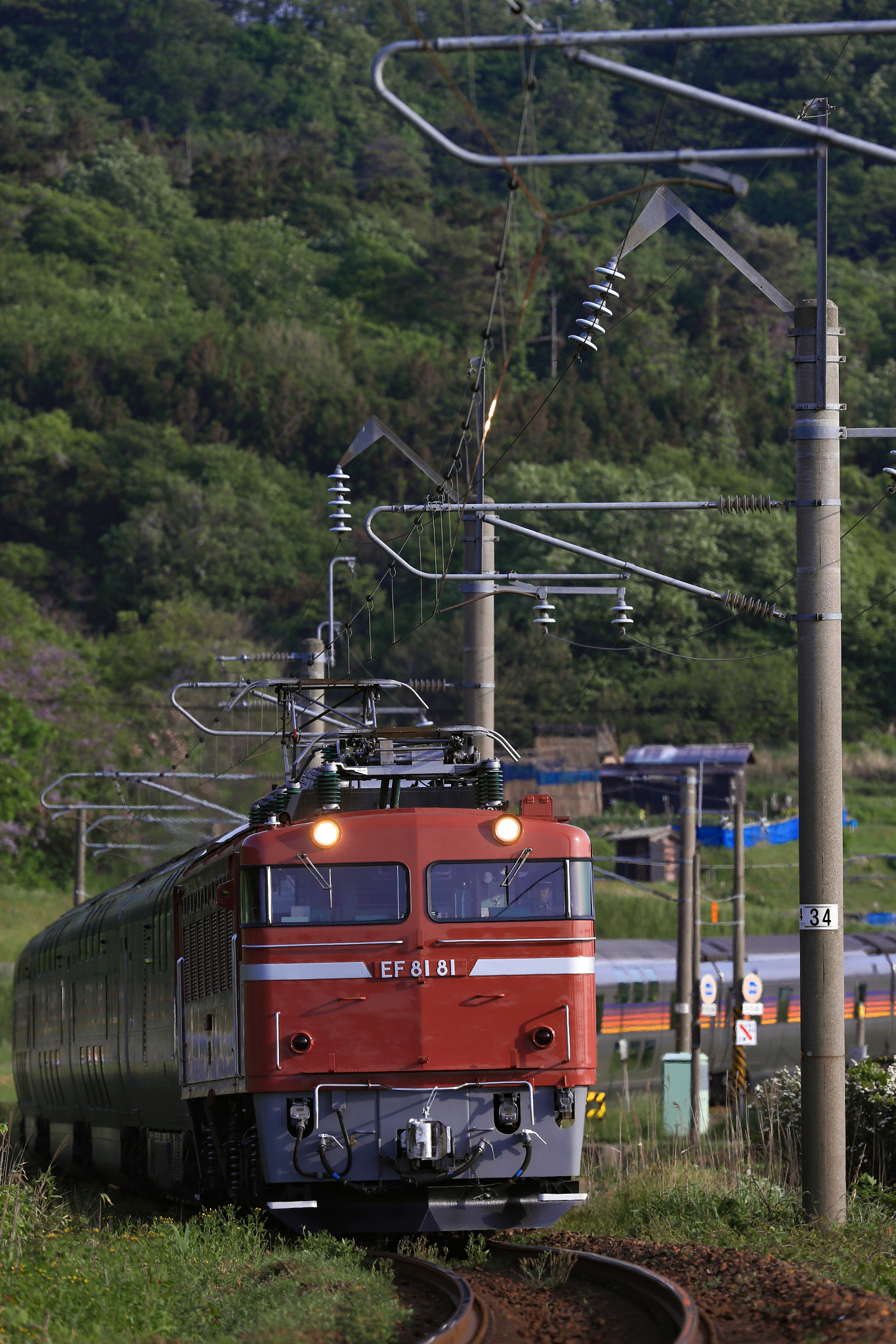 Canon EOS-1D X Mark II + Canon EF 200-400mm F4L IS USM Extender 1.4x sample photo. 26407461673.jpg photography