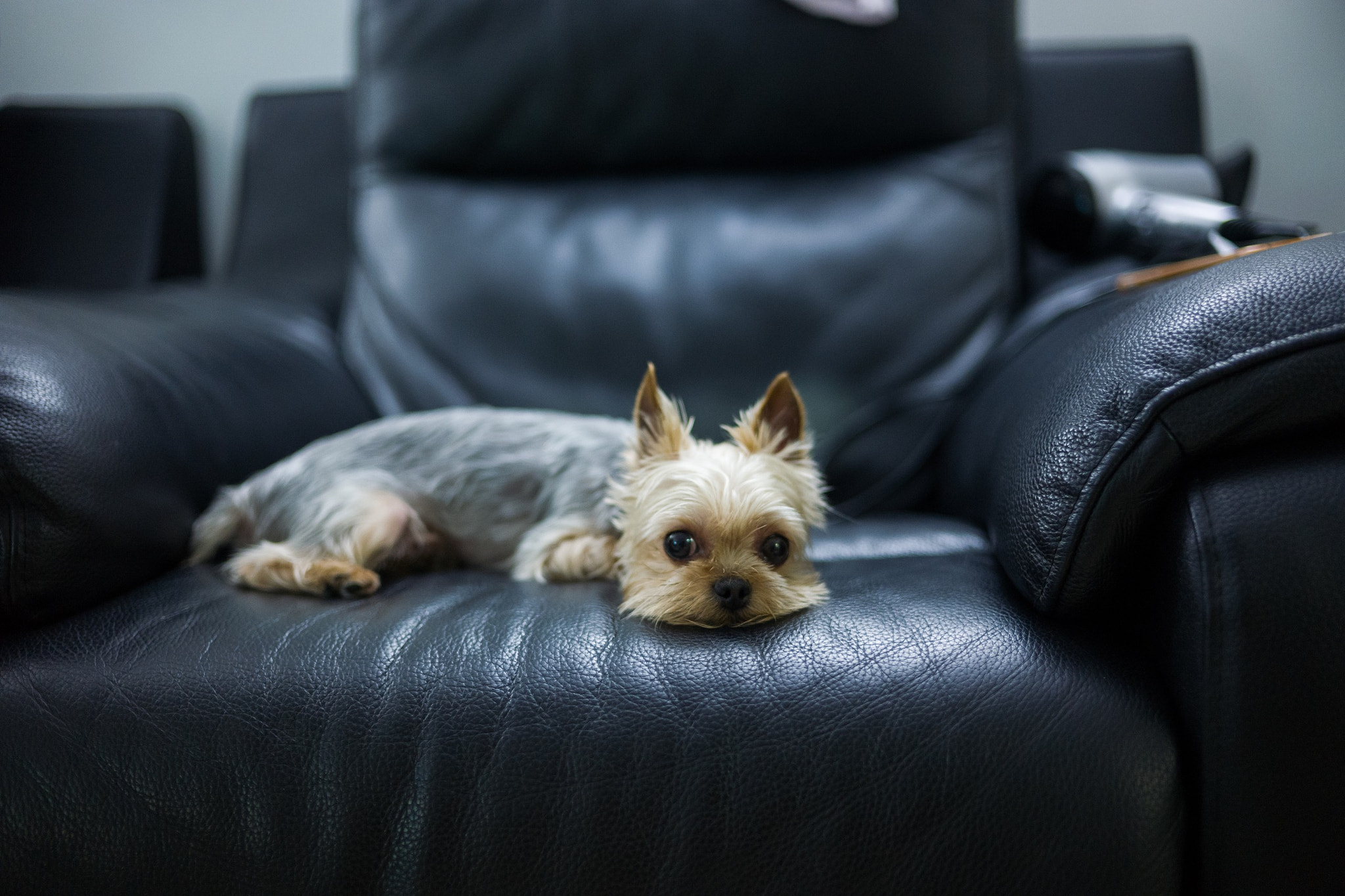 Leica Summilux-M 35mm F1.4 ASPH sample photo