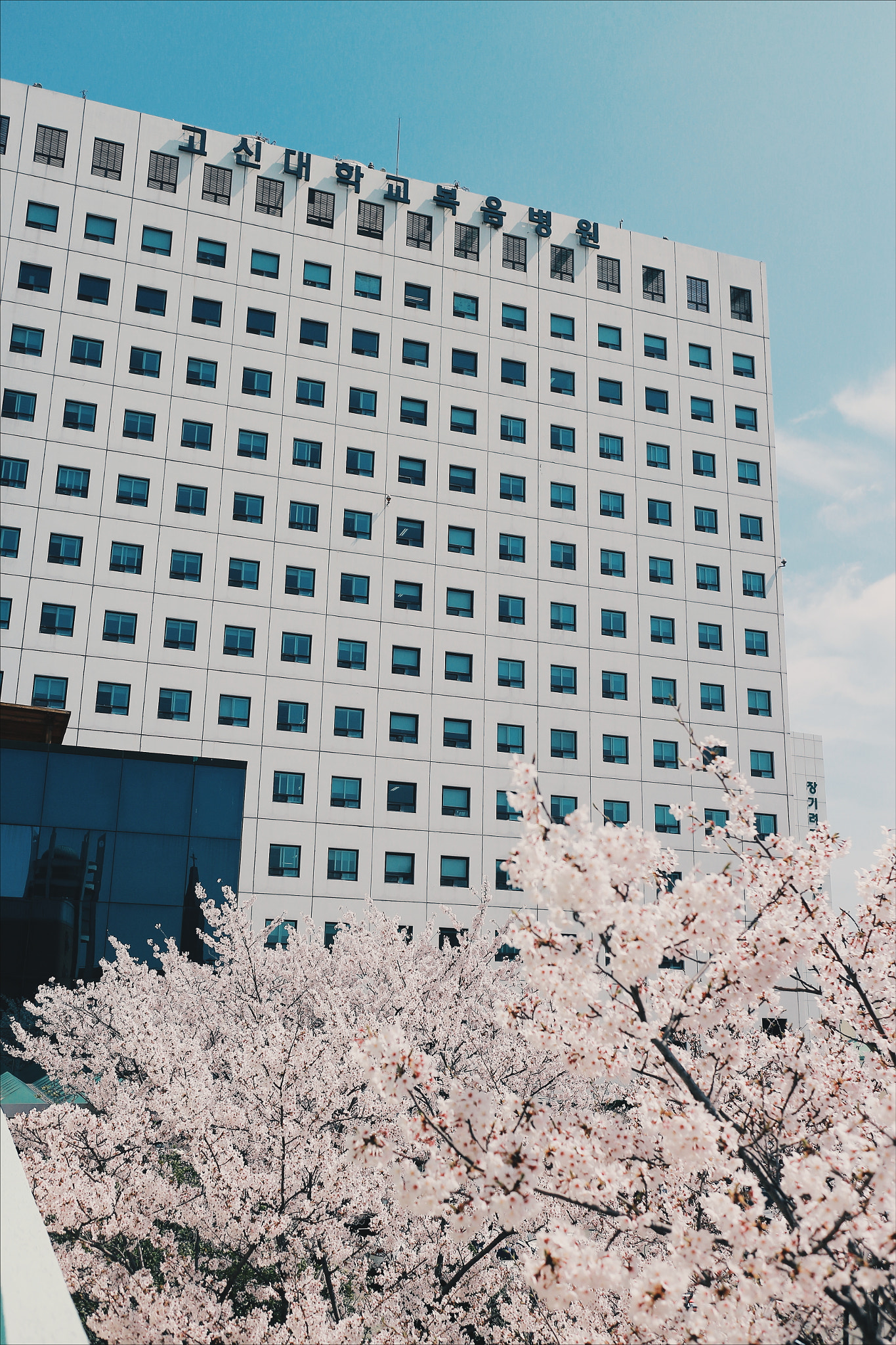 Canon EOS M2 sample photo. Kosin university gospel medical center photography