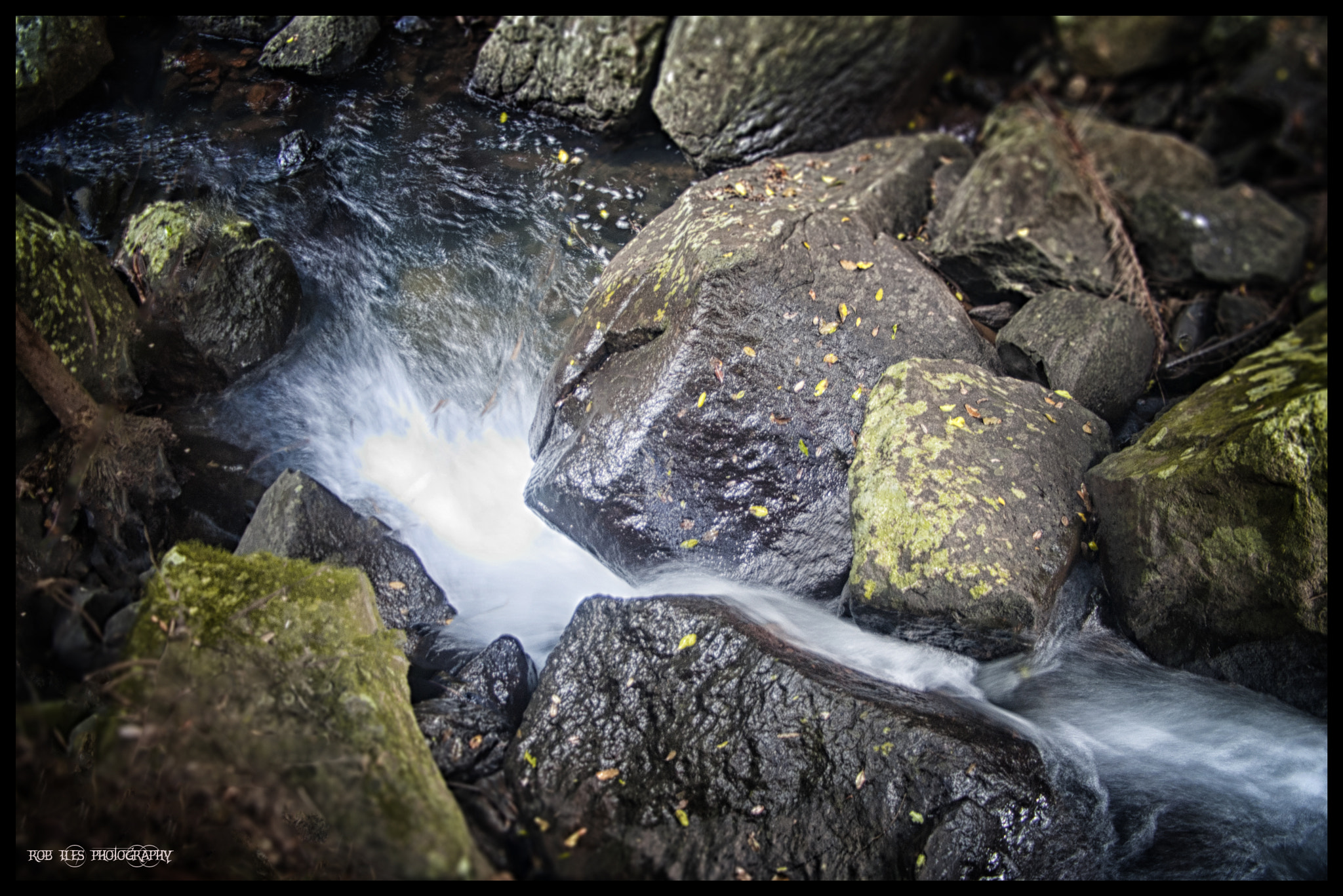 Pentax *ist DL + Sigma AF 10-20mm F4-5.6 EX DC sample photo. Bush stream photography