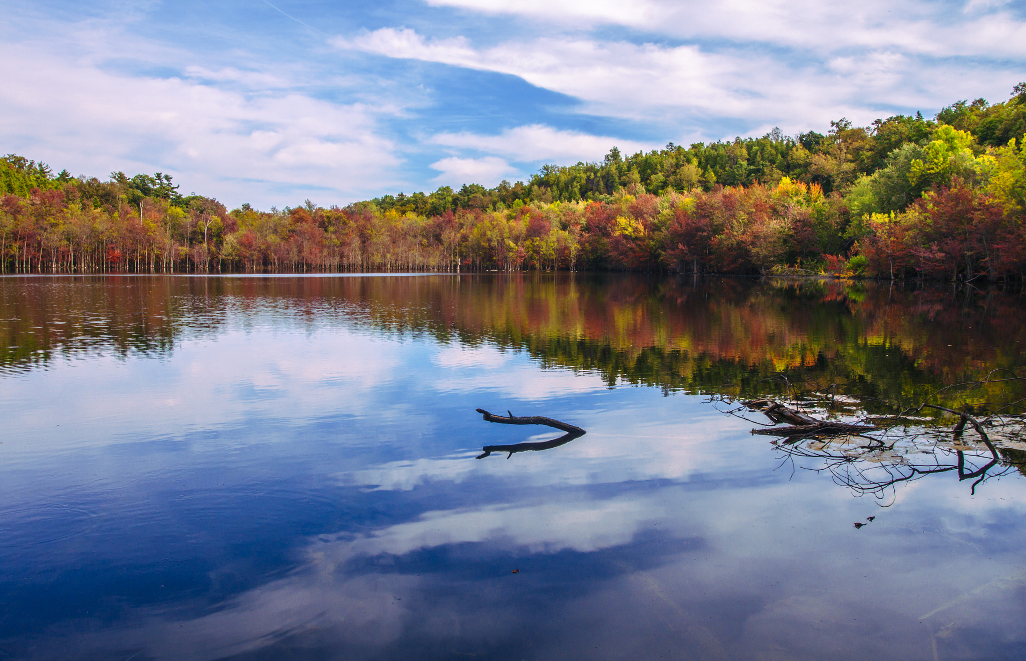 Canon EOS 500D (EOS Rebel T1i / EOS Kiss X3) + Canon EF 17-40mm F4L USM sample photo. Autumn of a lake in the syracuse, ny photography