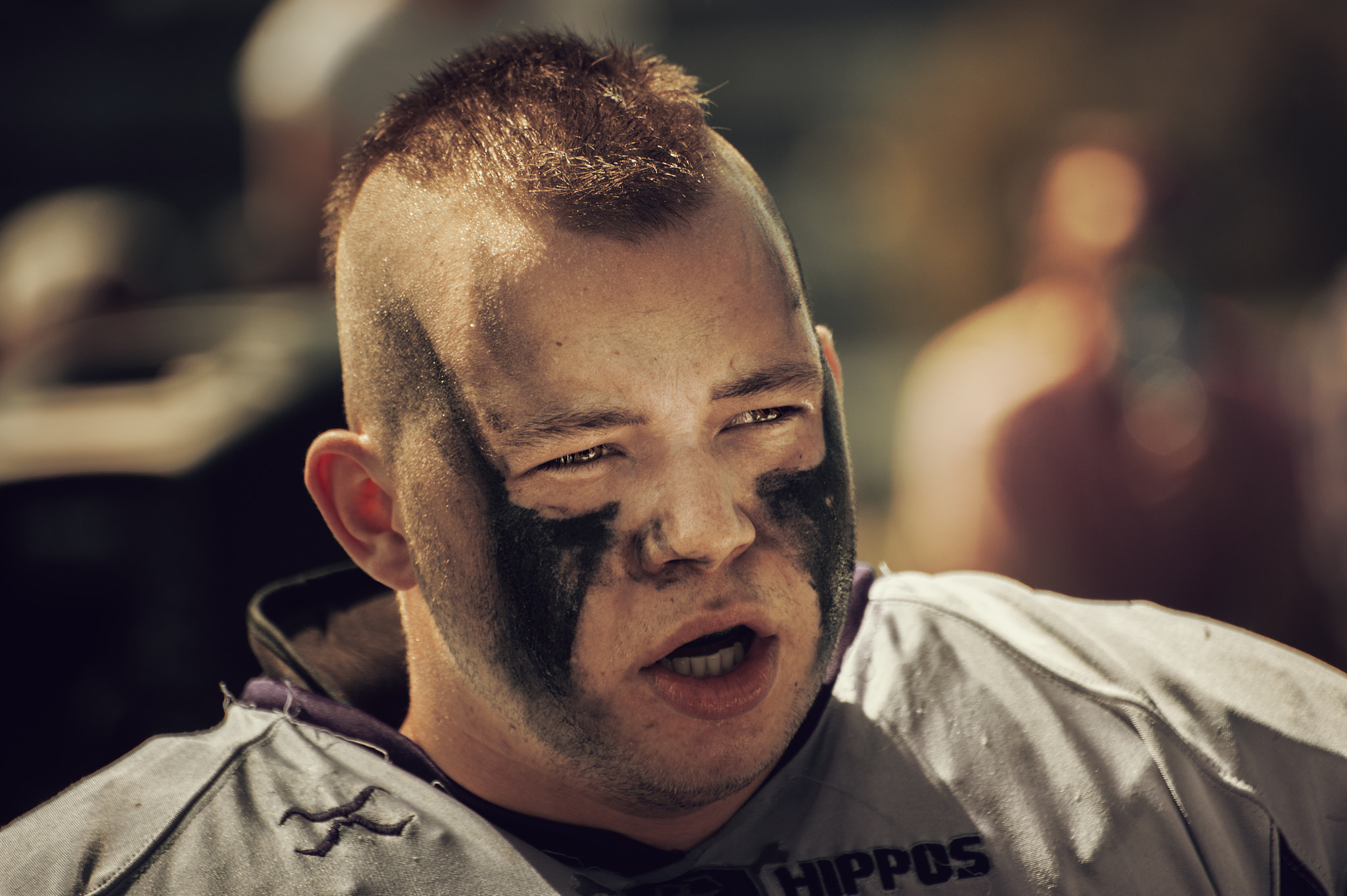 Nikon D3 sample photo. Prague hippos photography