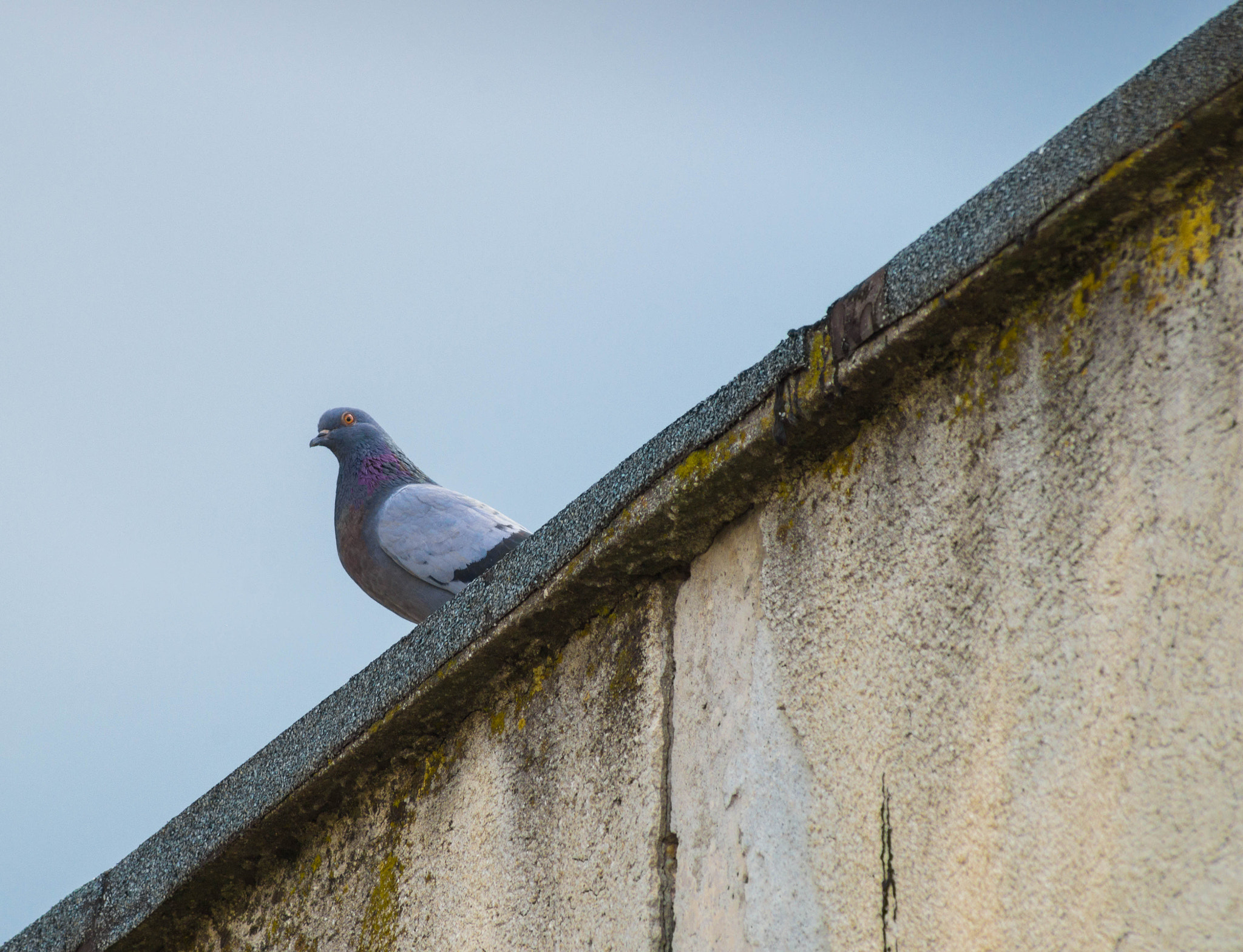 Sony 75-300mm F4.5-5.6 sample photo. Between worlds photography