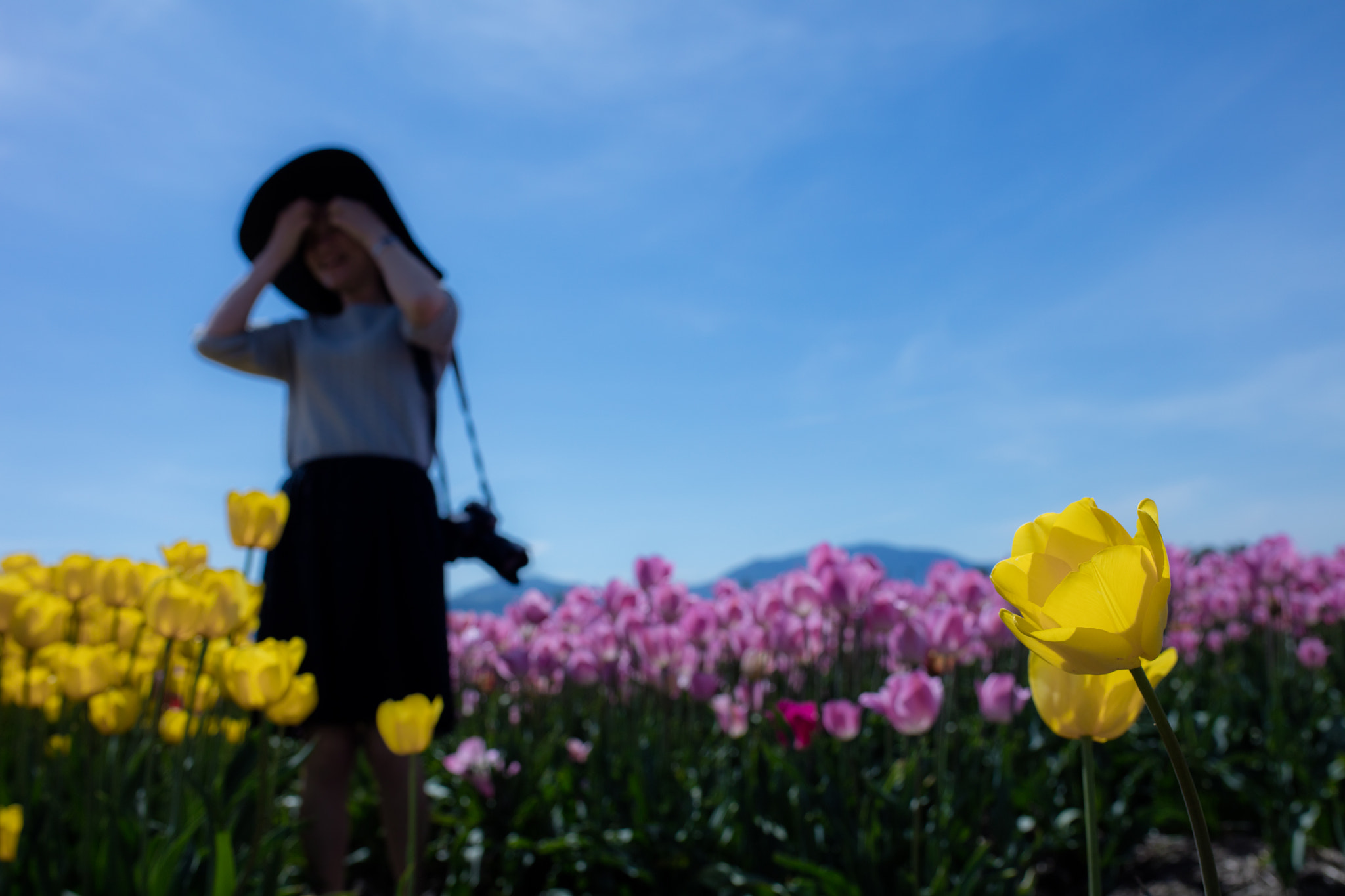 Canon EOS 5DS R sample photo. Tulip  garden photography