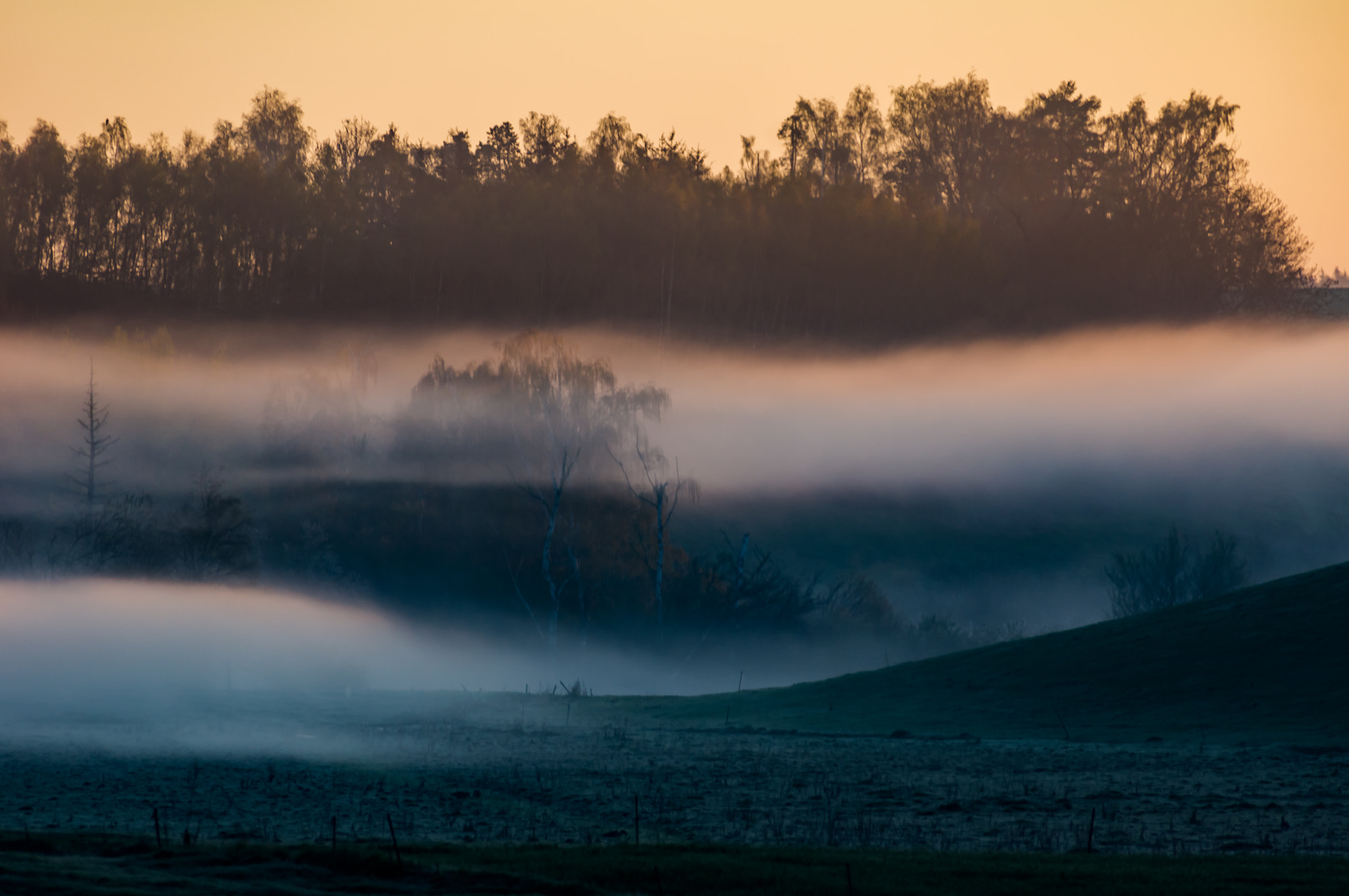 Sony SLT-A55 (SLT-A55V) sample photo. Mysterious morning photography