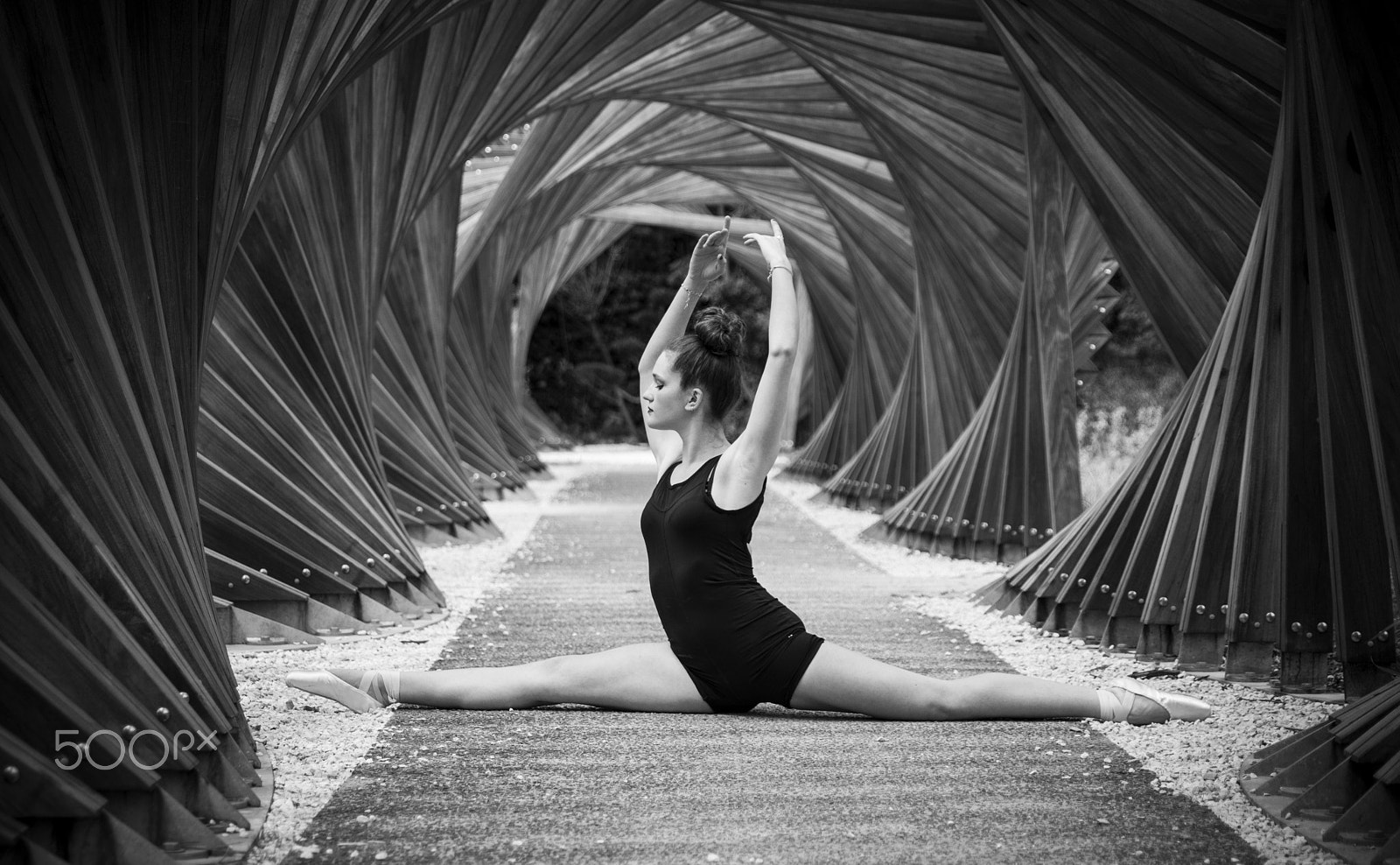 Sigma 24-70mm F2.8 EX DG HSM sample photo. Ava nina photography