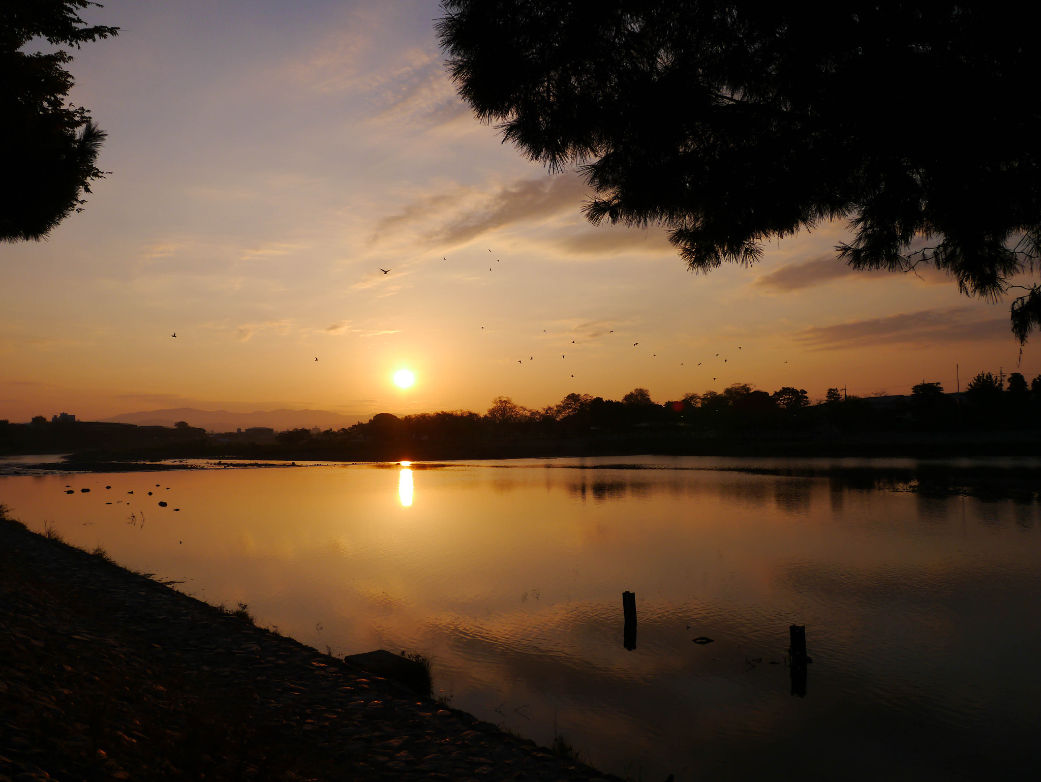 LUMIX G VARIO PZ 14-42/F3.5-5.6 sample photo. Dawn photography