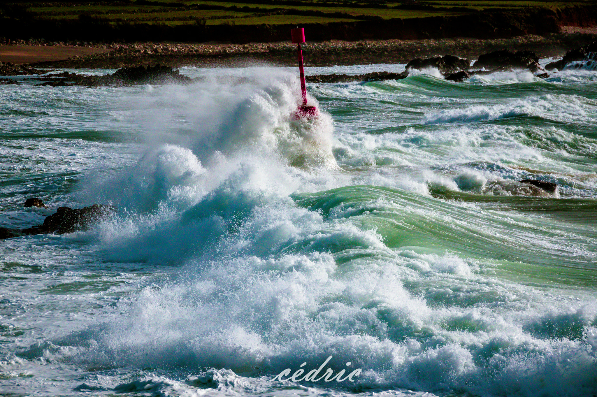 Pentax K-3 II + Sigma 18-200mm F3.5-6.3 II DC OS HSM sample photo. Goury pendant une tempete photography