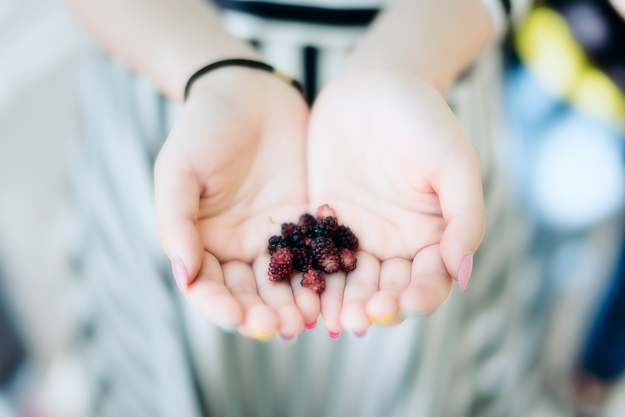 Nikon D810 + Sigma 50mm F1.4 EX DG HSM sample photo
