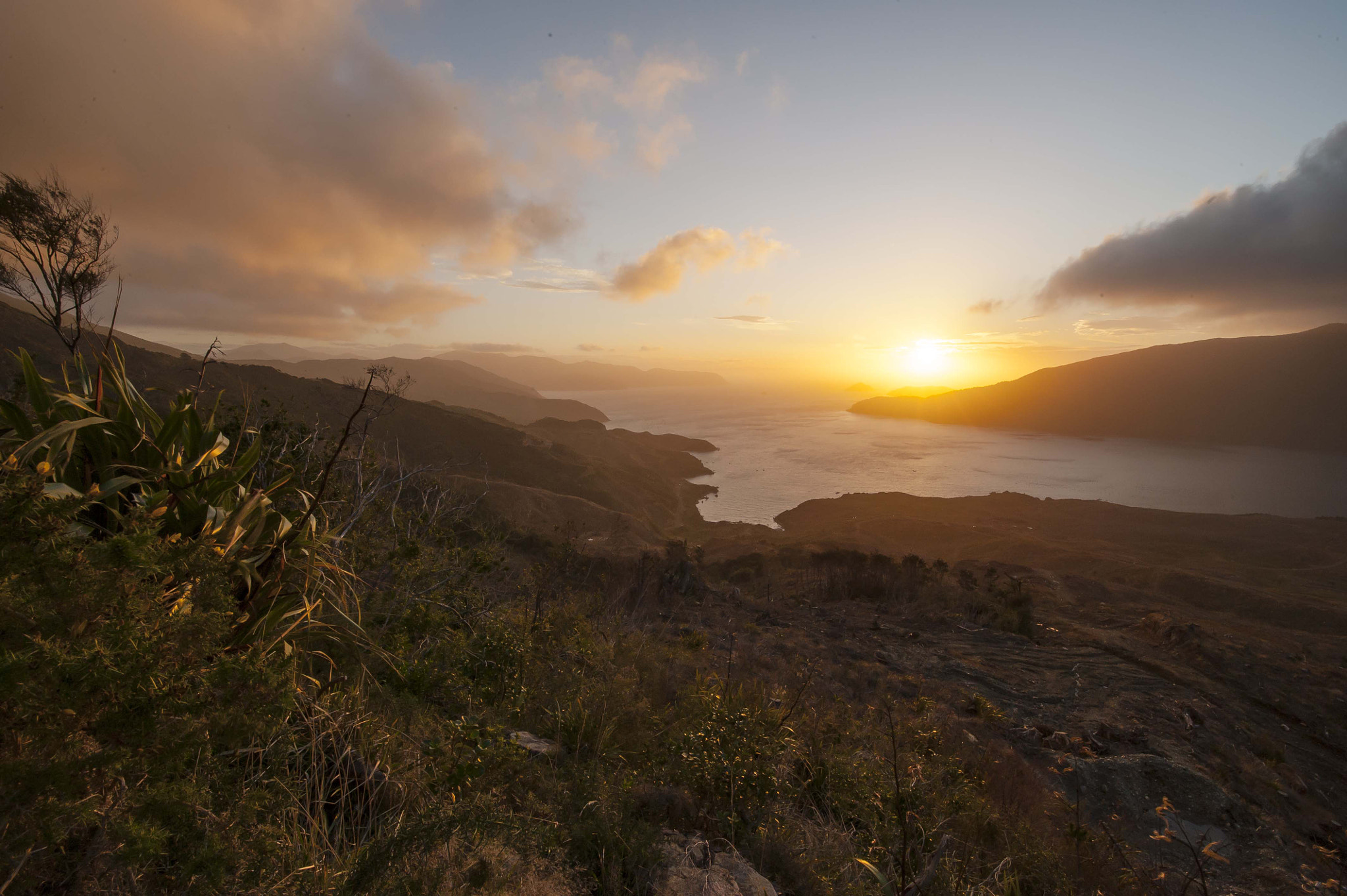 Tamron SP 15-30mm F2.8 Di VC USD sample photo. Okiwi bay photography