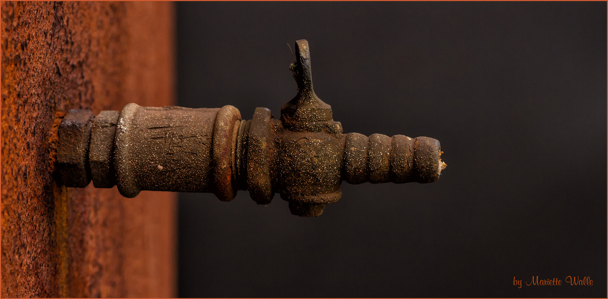 Sigma 70mm F2.8 EX DG Macro sample photo. The rusty tap photography
