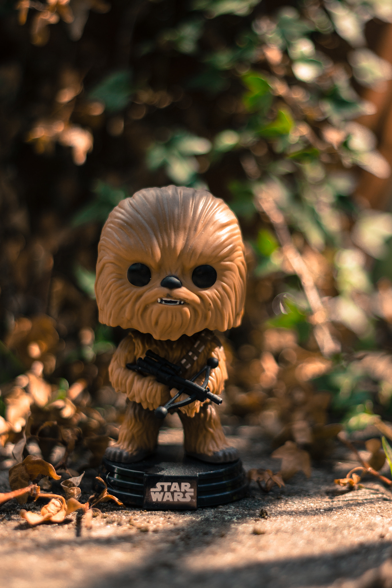 Canon EOS 70D + Canon EF 50mm f/1.8 sample photo. Chewbacca ready for fight photography