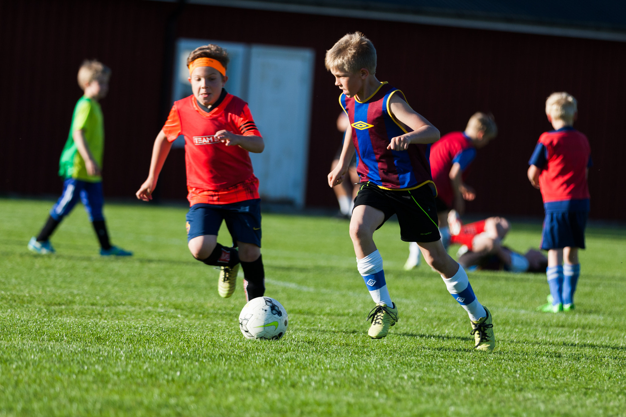 Canon EOS-1D Mark III sample photo. Battle of the ball! photography