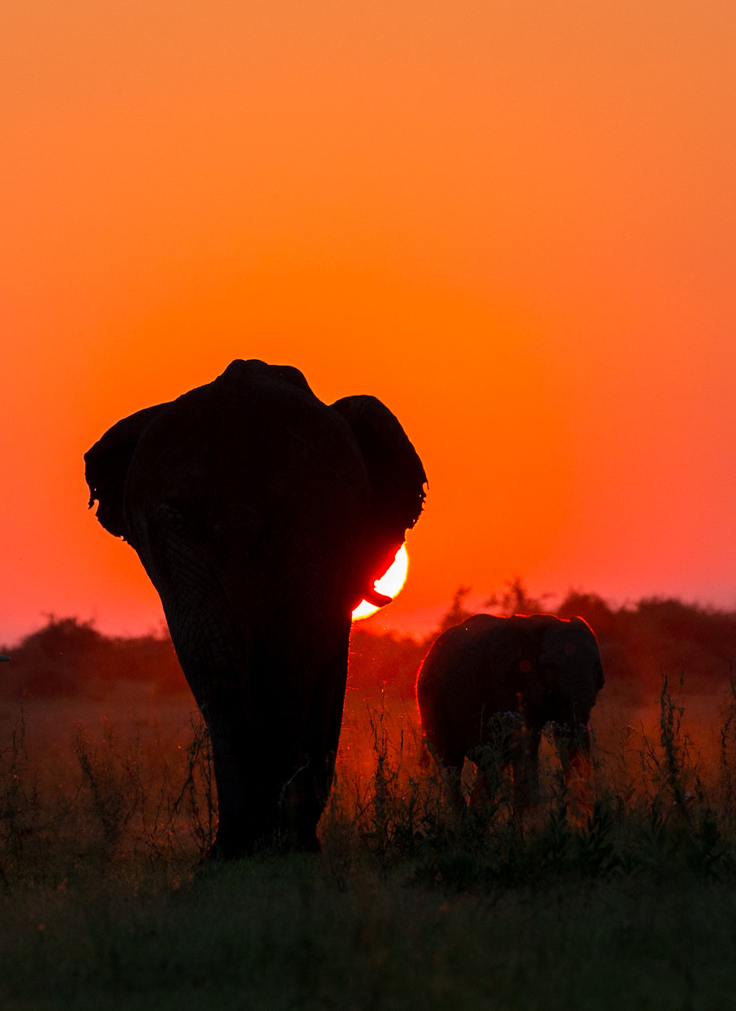 Canon EF 200-400mm F4L IS USM Extender 1.4x sample photo. Sunset classic photography