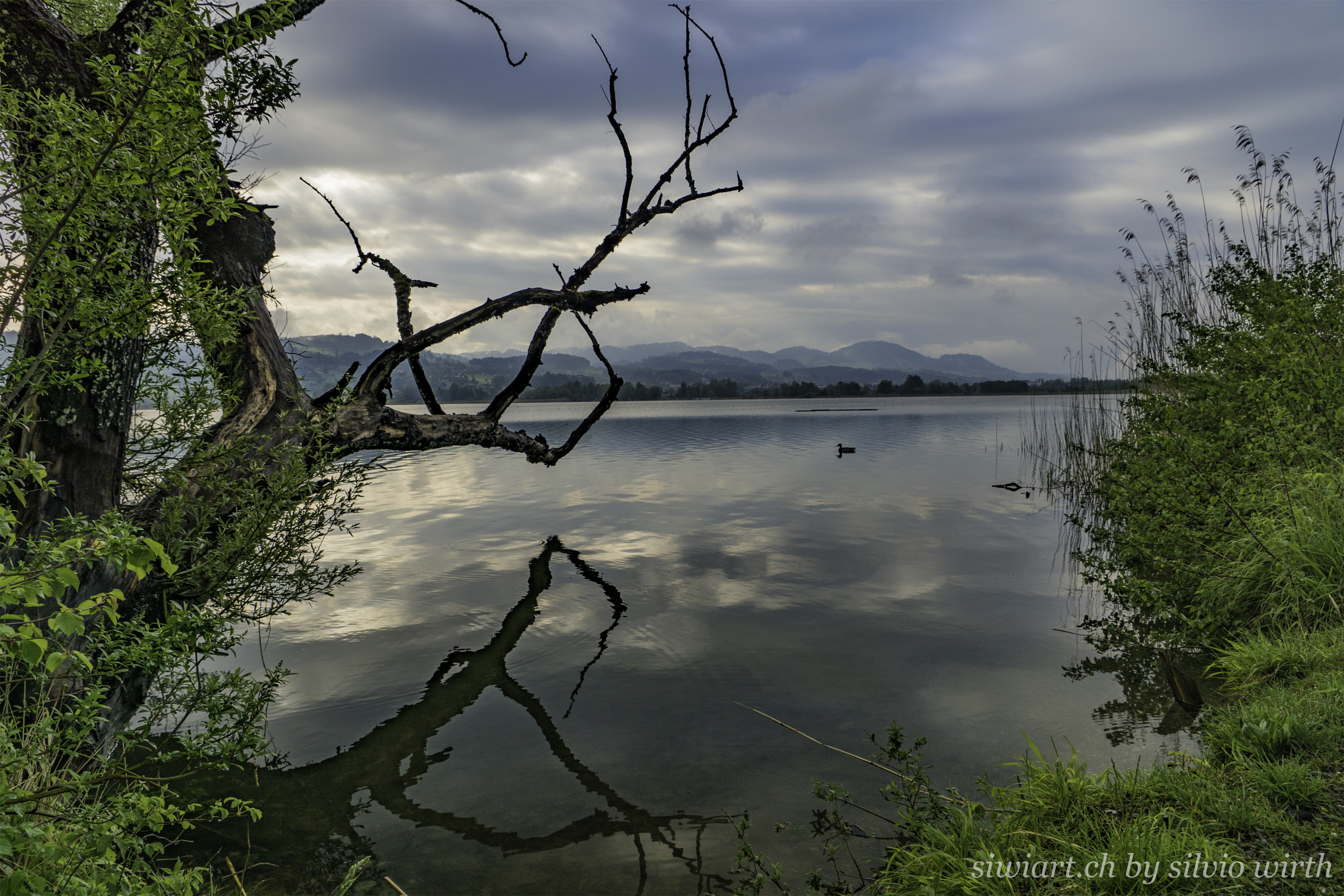 Sony DT 16-105mm F3.5-5.6 sample photo. Pfäffikersee photography