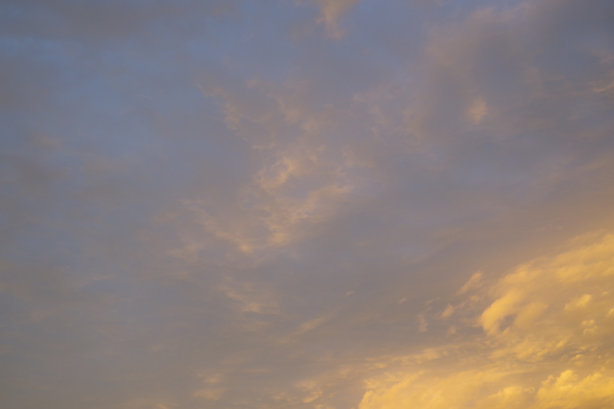 Pentax K-S1 sample photo. 150627_kamakura photography
