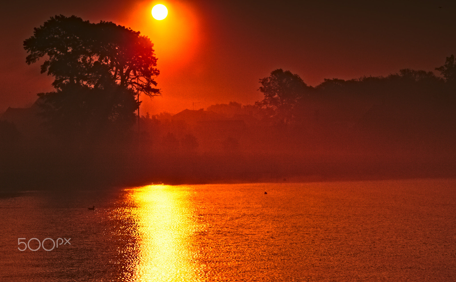 Canon EF 85mm F1.2 sample photo. Morninggold photography
