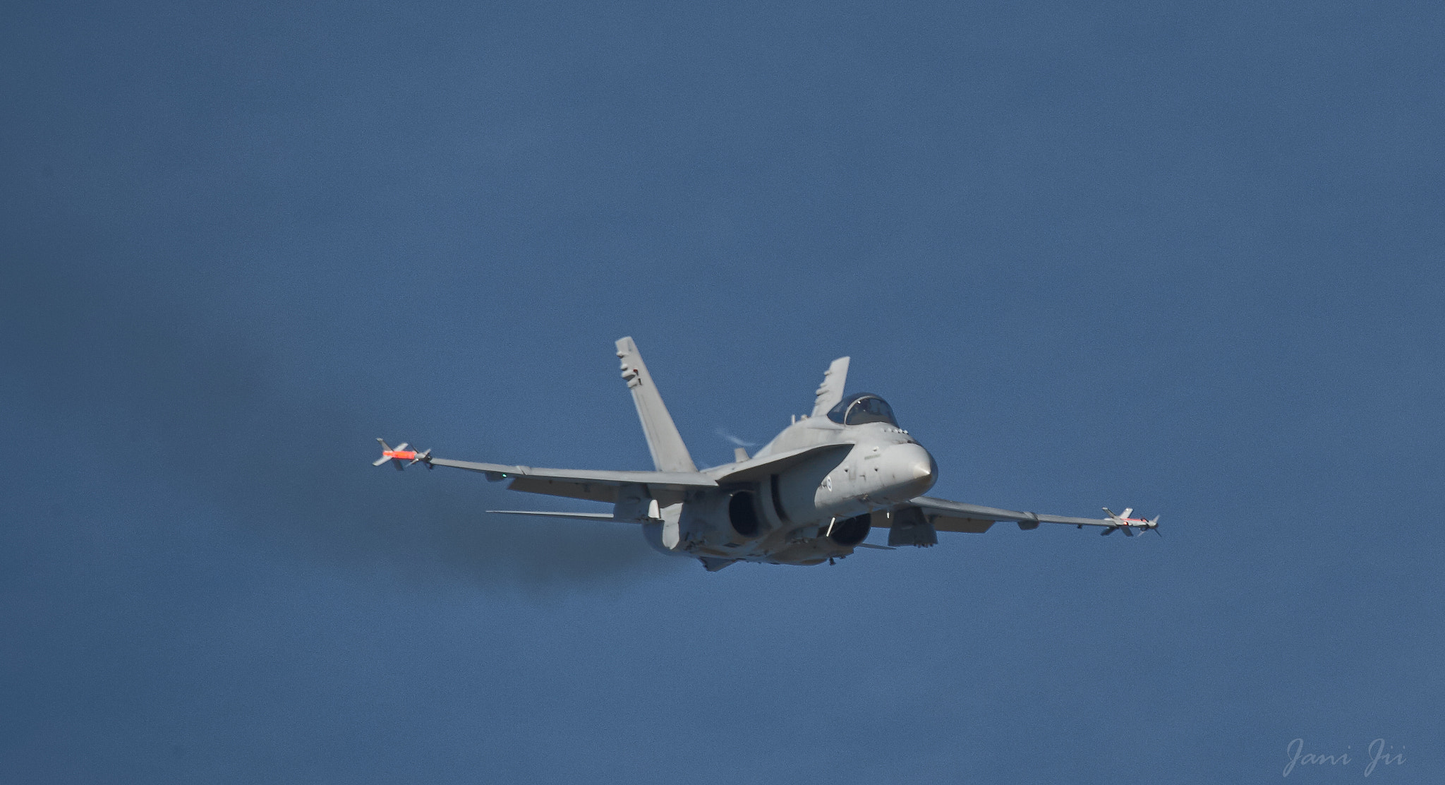 Canon EOS-1D Mark III sample photo. Flying close photography