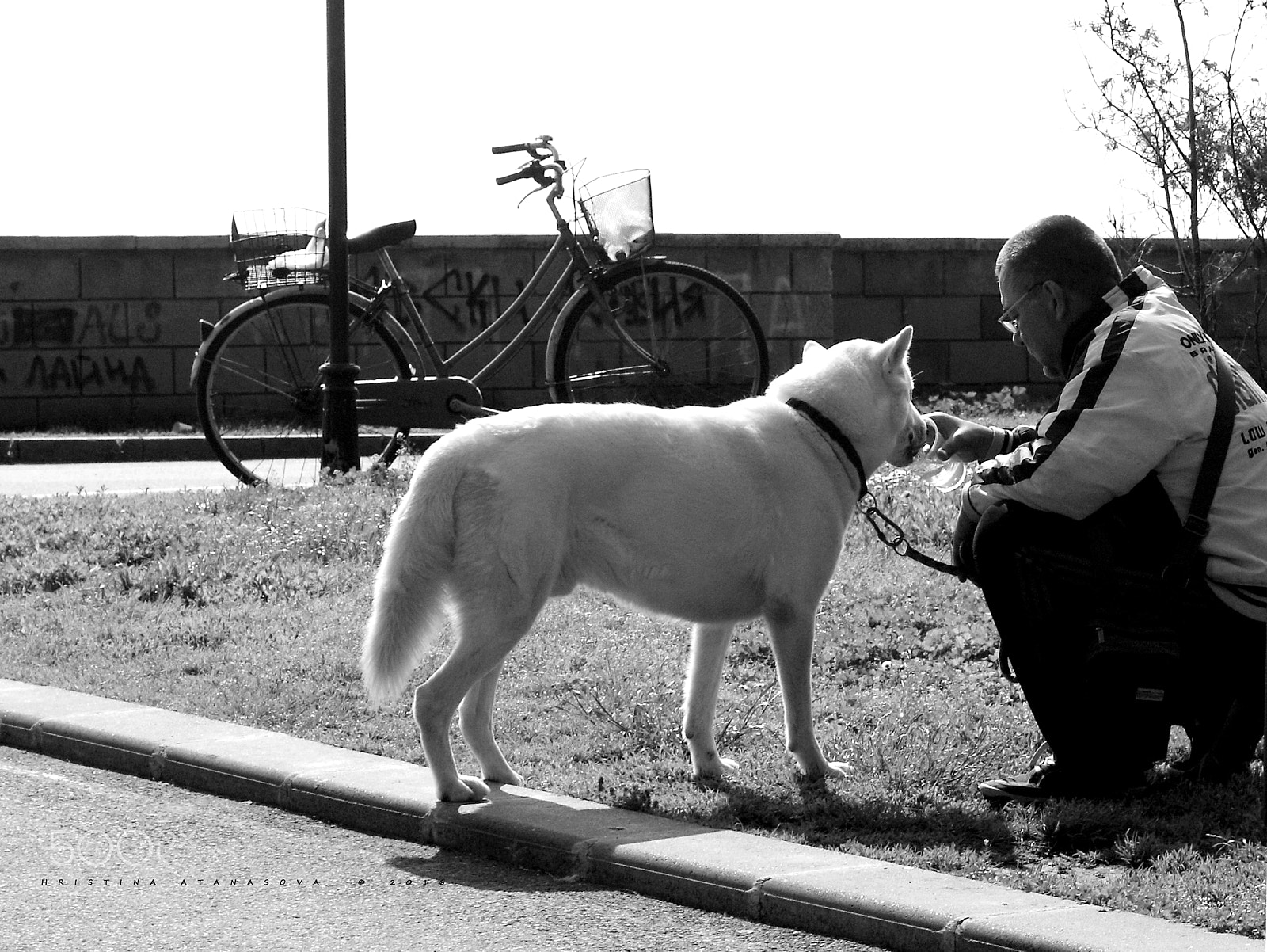 Canon EF-S 18-55mm F3.5-5.6 IS sample photo. It’s just you and me now pal… photography