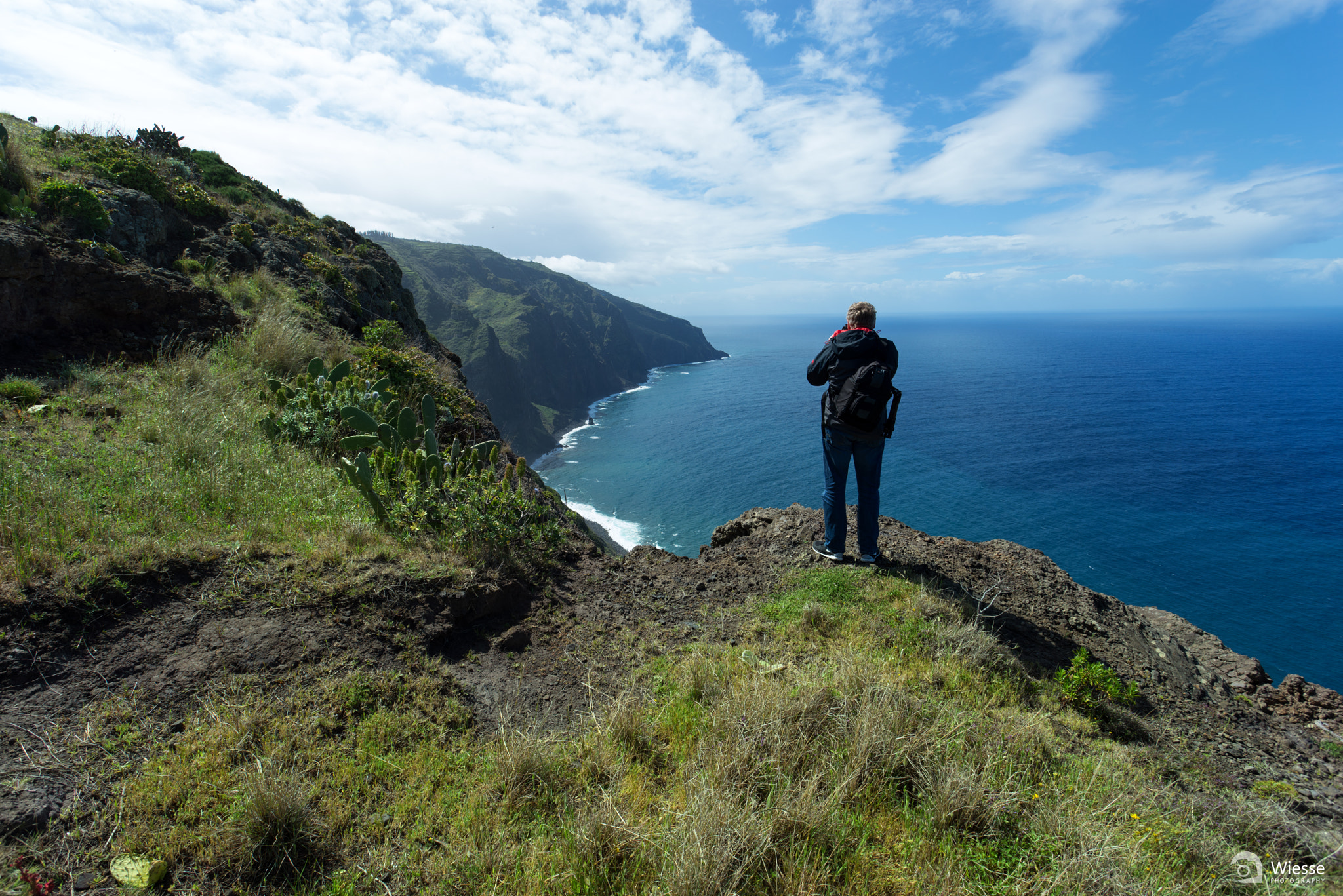 Sony a7R + Sony 70-400mm F4-5.6 G SSM sample photo. Ponta do pargo photography