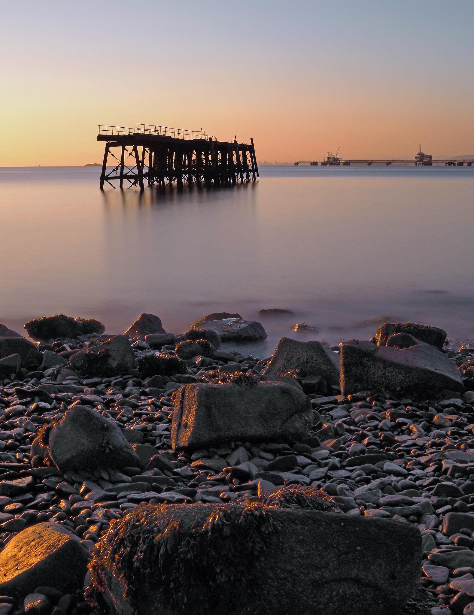 Olympus OM-D E-M5 II sample photo. Sticks and stones and distant cranes photography