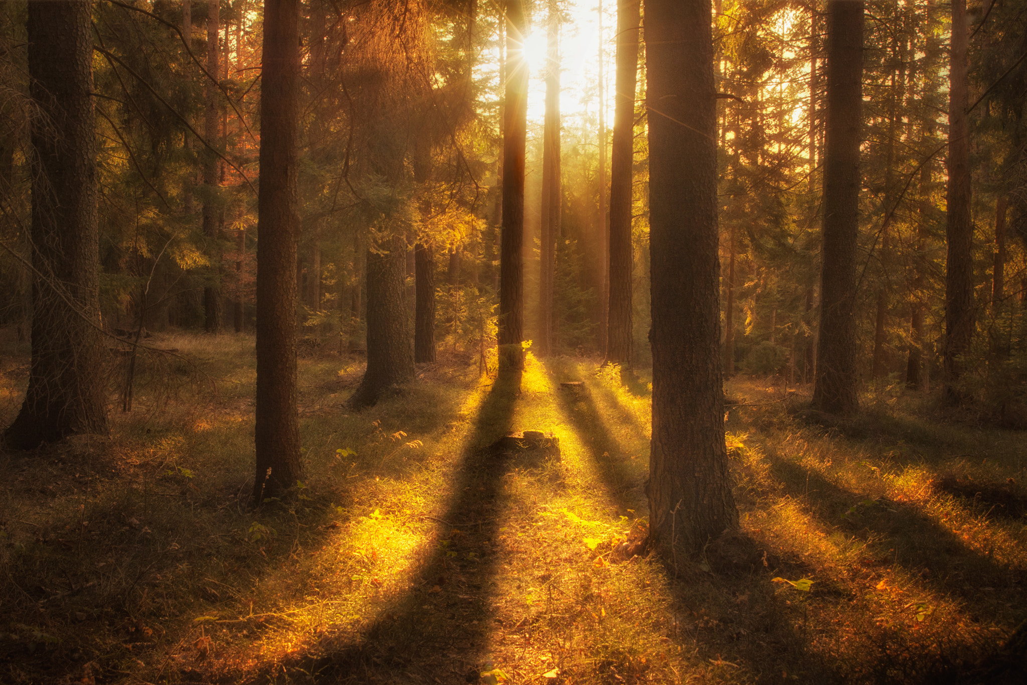 AF Zoom-Nikkor 24-120mm f/3.5-5.6D IF sample photo. Long shadows photography
